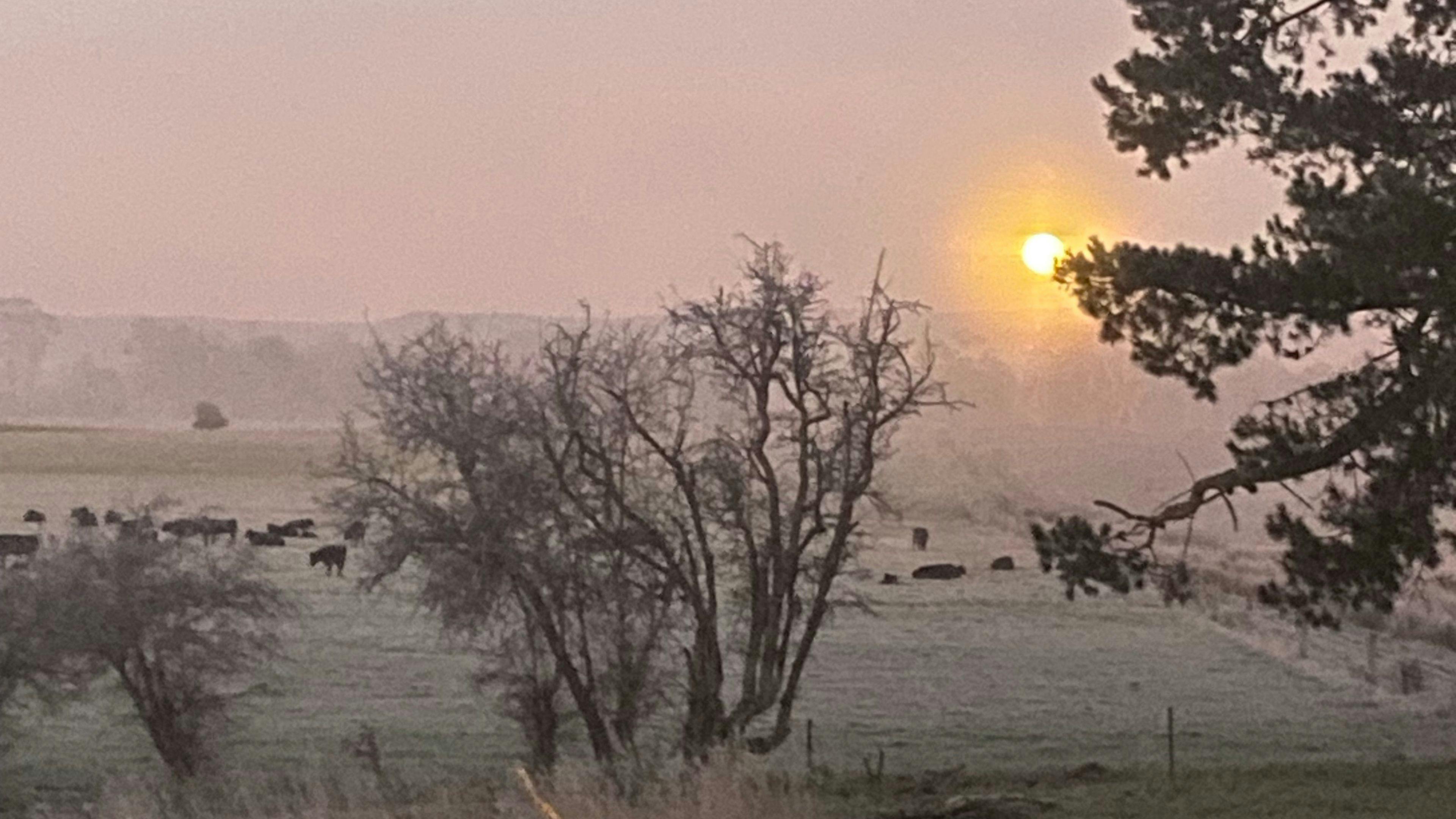 This picture was taken in July 2023 early morning.