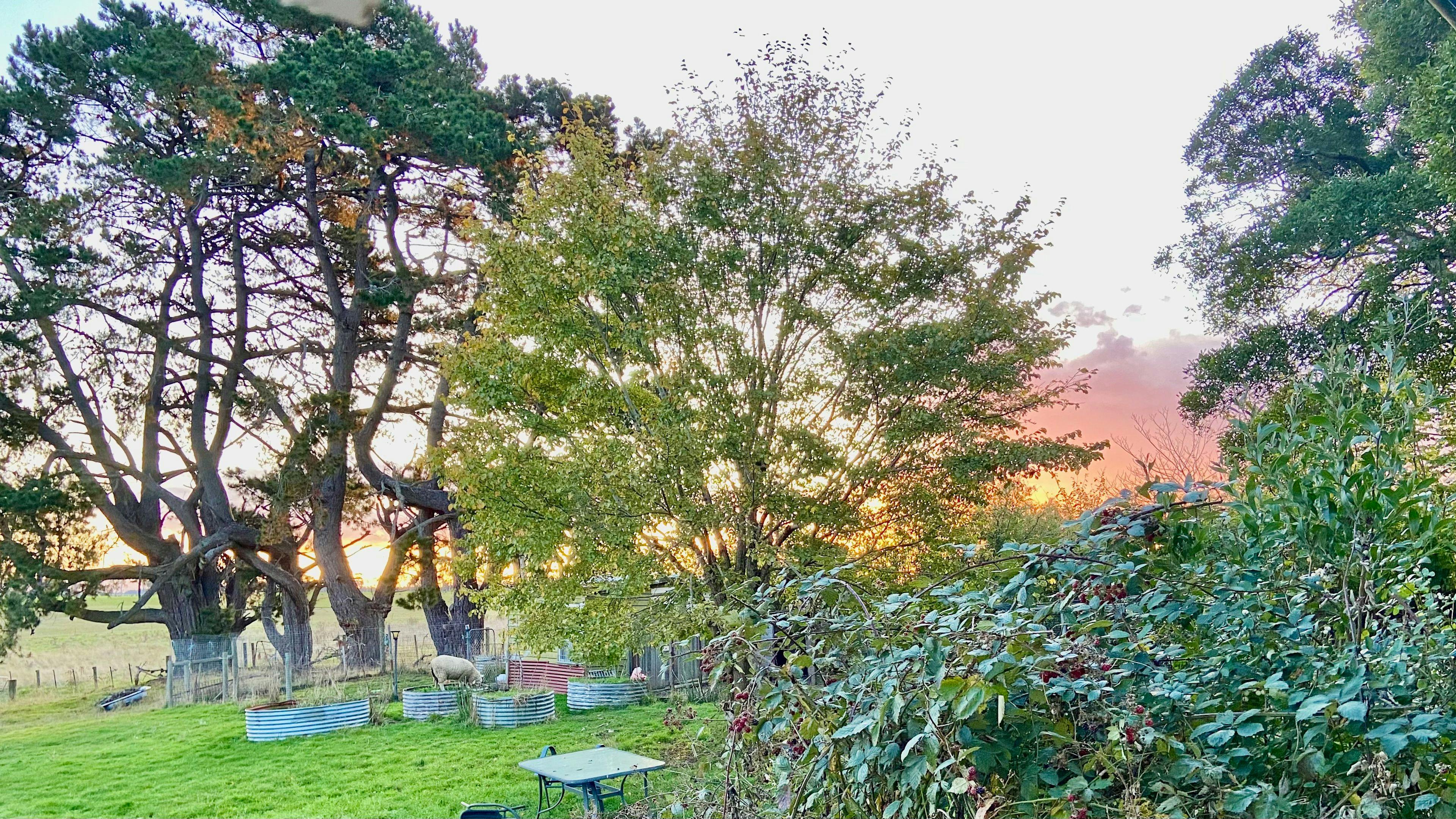 Sunset Haven