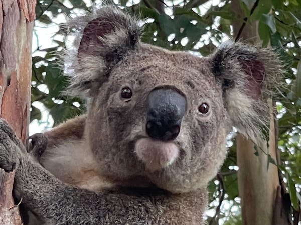 Sunset Ridge 99 Sunshine Road Wolvi