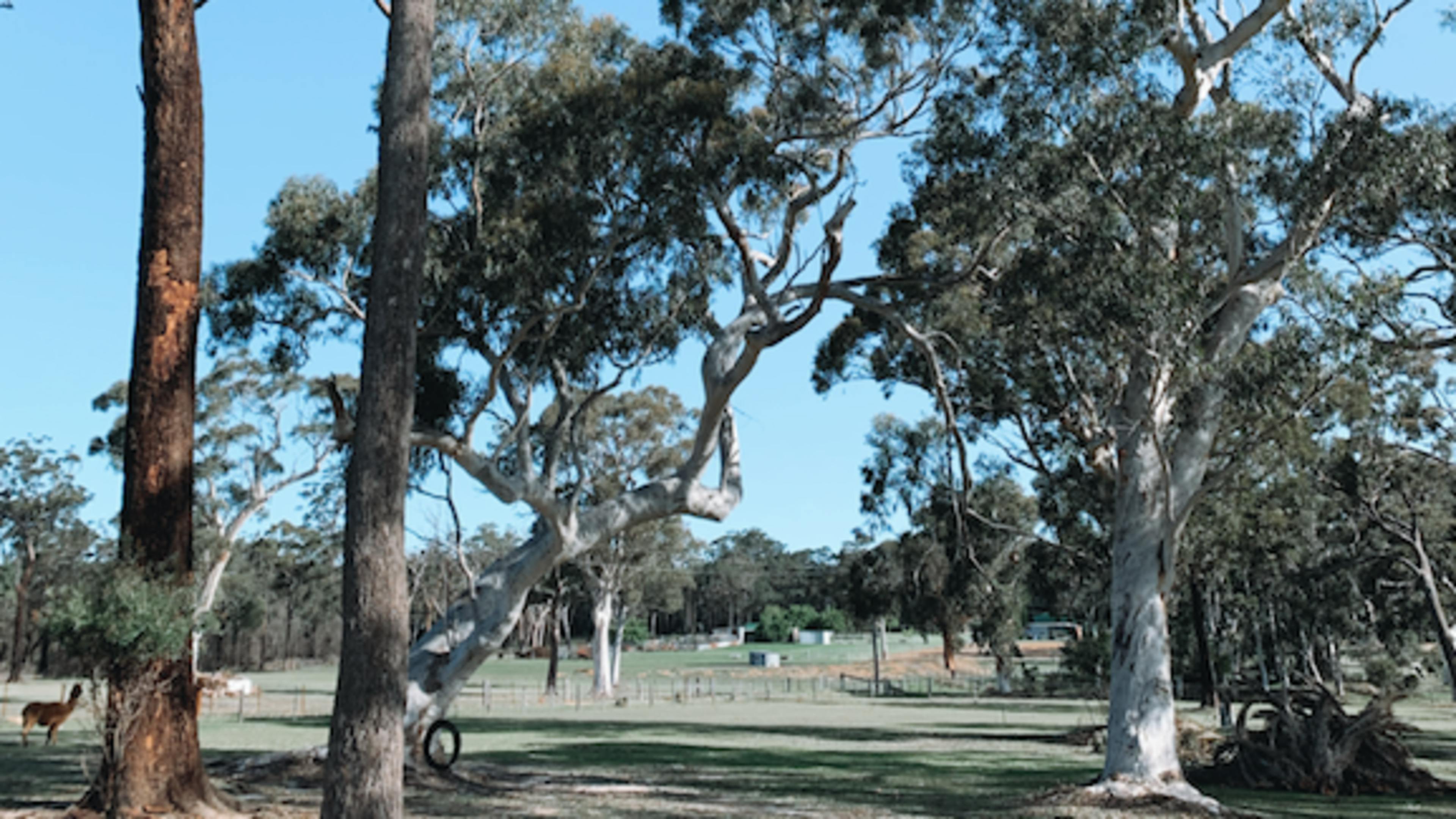 Only good vibes here