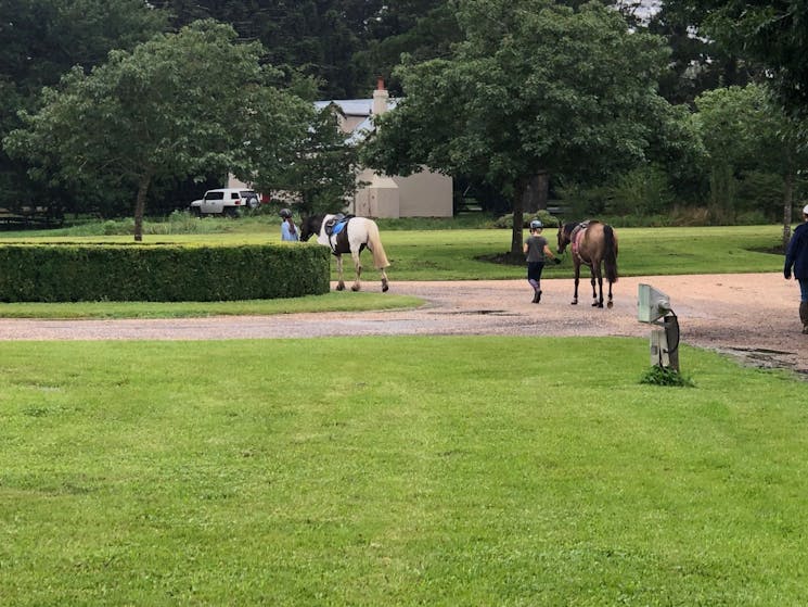 Sutton Farm Equestrian Centre