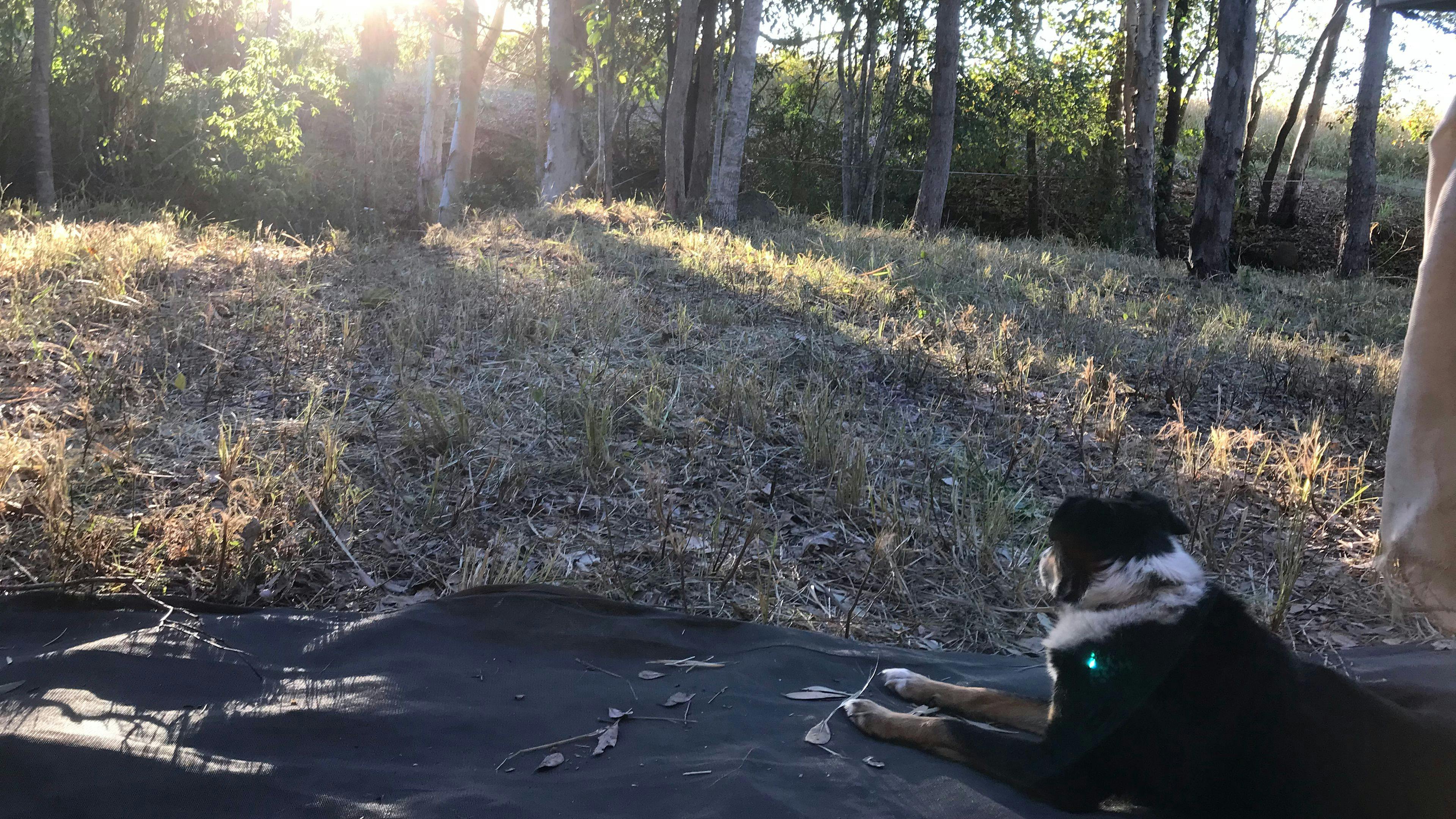 SweetStock, Kuttabul