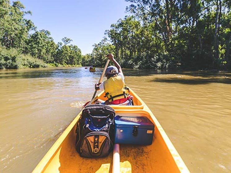 A kayaker paddles along the Murray River, Murray Valley National Park. Photo: B Ferguson/OEH