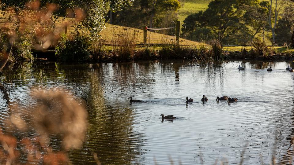 Arion Park photo