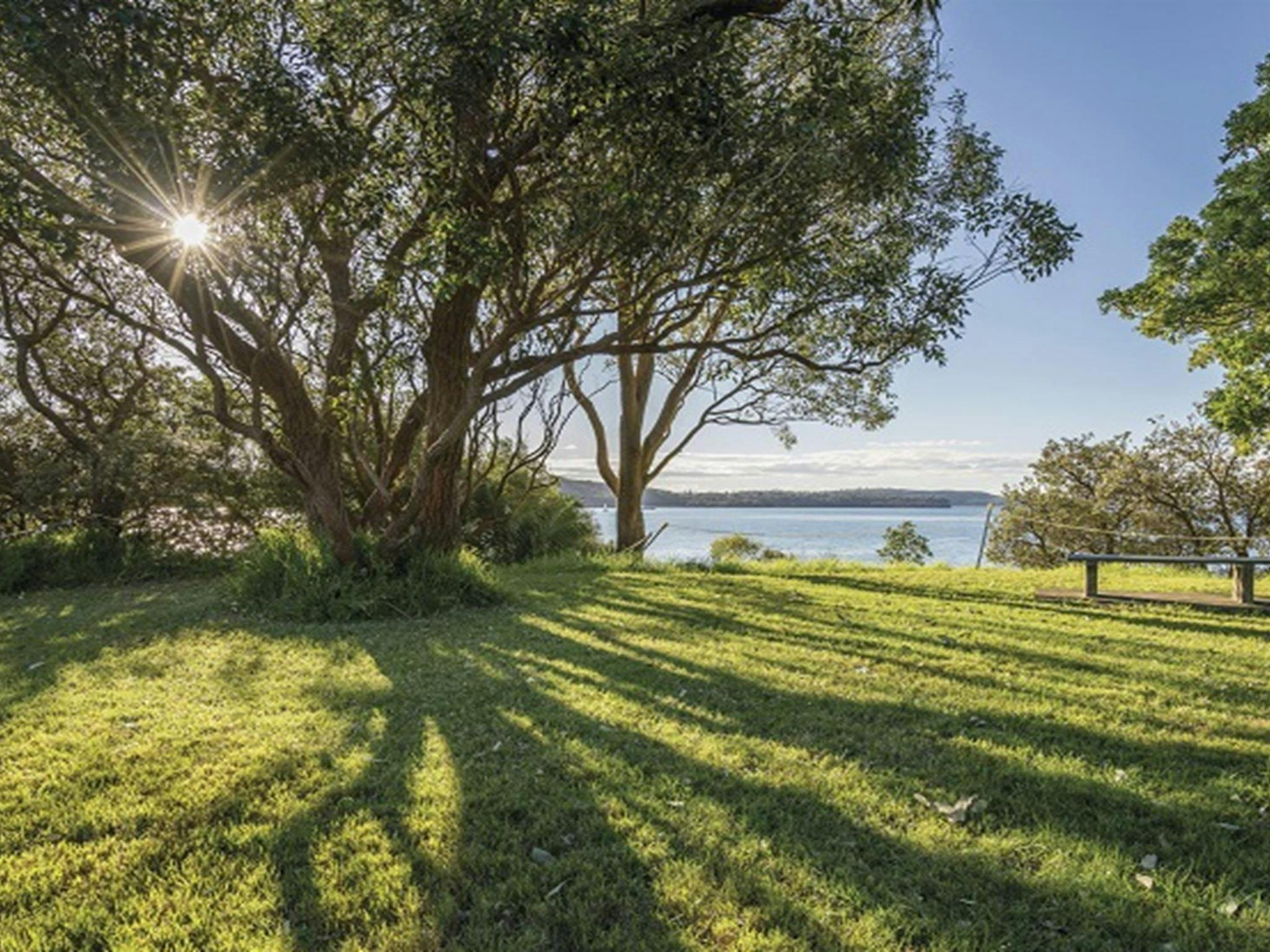 Im Schatten der Bäume am Bottle and Glass Point, Sydney Harbour National Park. Foto: John