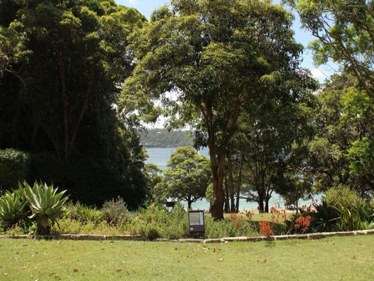 The view of the ocean through trees at Greycliffe Gardens in Sydney Harbour National Park. Photo: