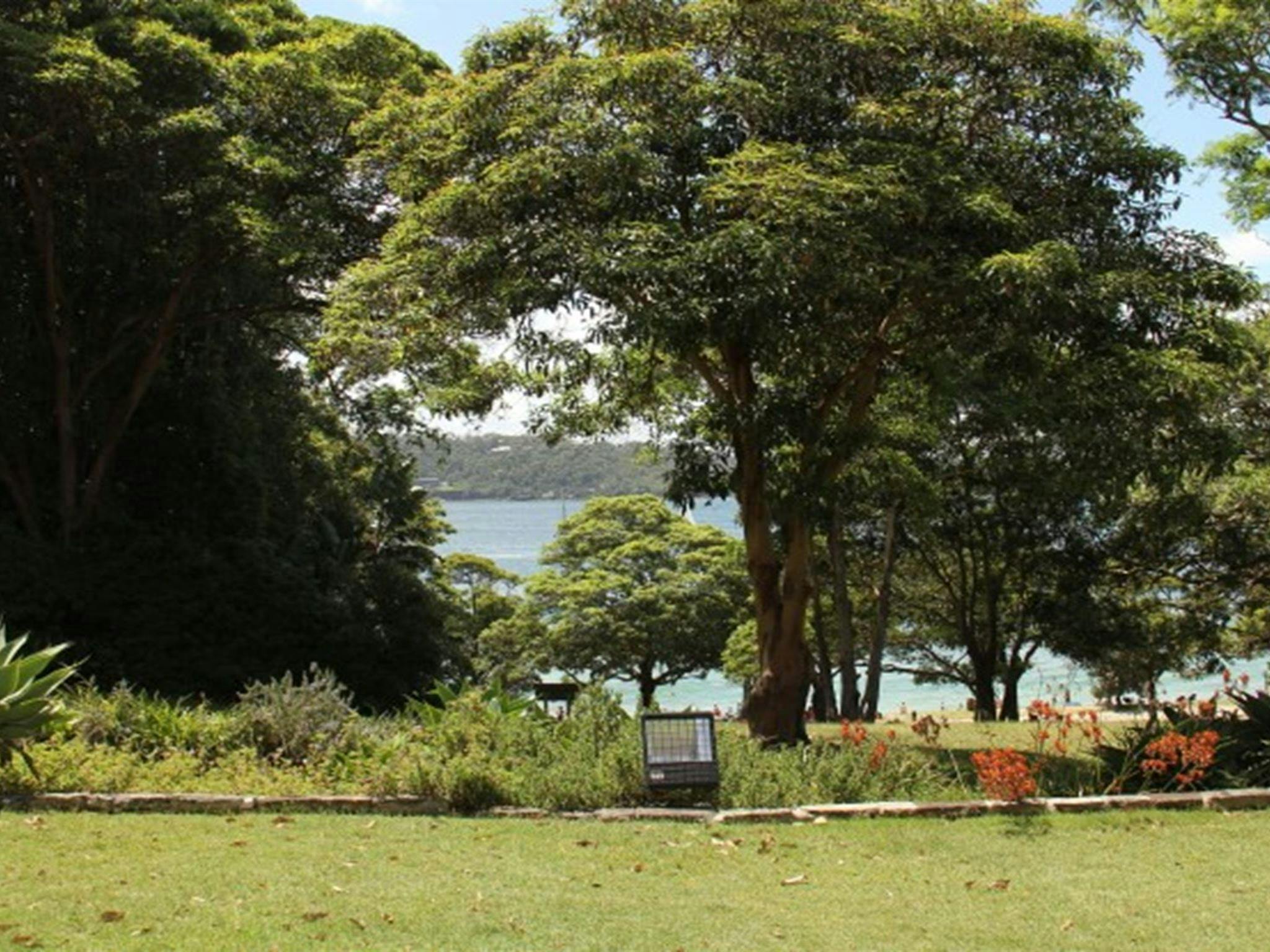 The view of the ocean through trees at Greycliffe Gardens in Sydney Harbour National Park. Photo: