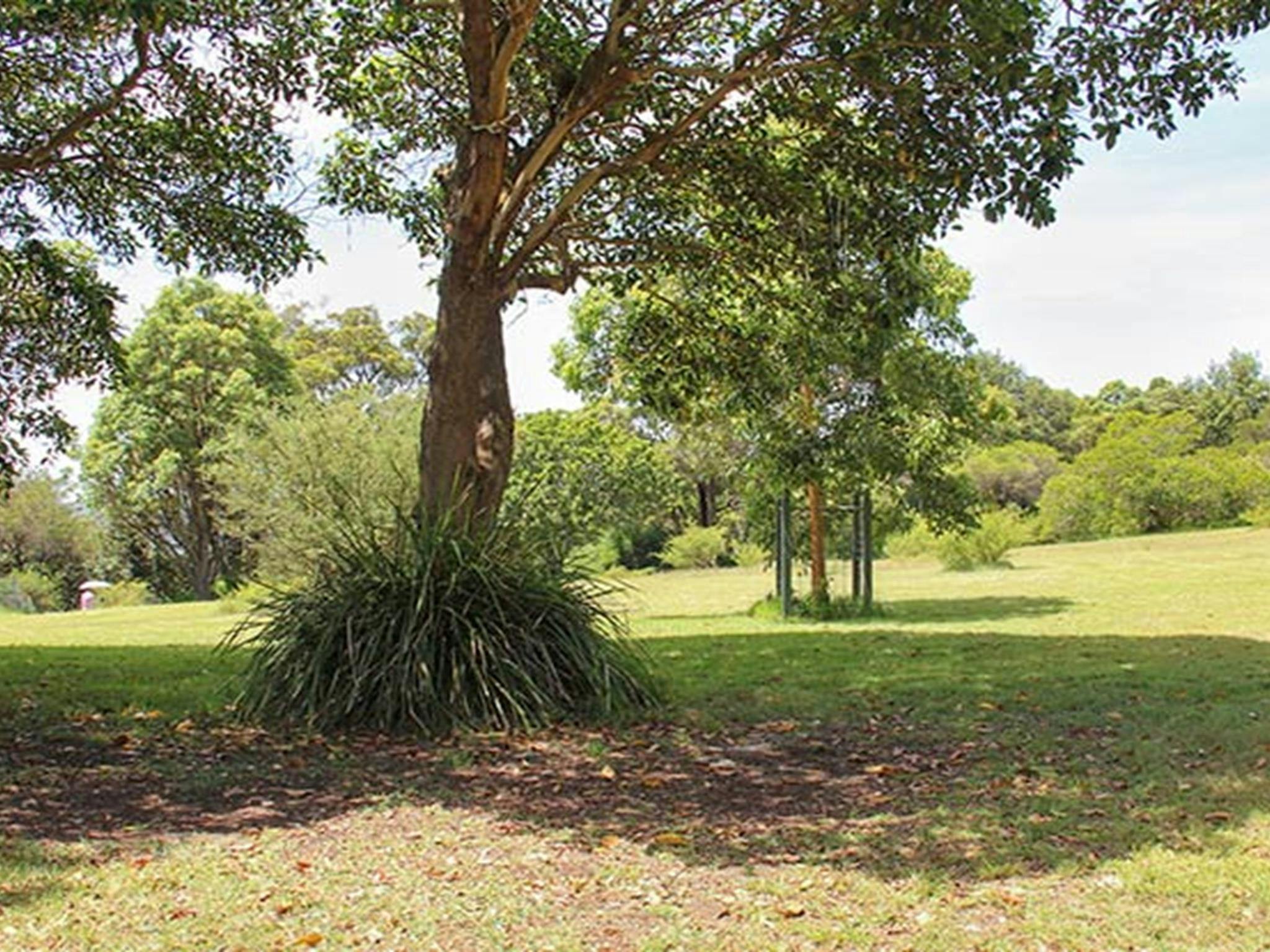 Shakespeares Point, Sydney Harbour National Park. Photo: John Yurasek &copy; OEH