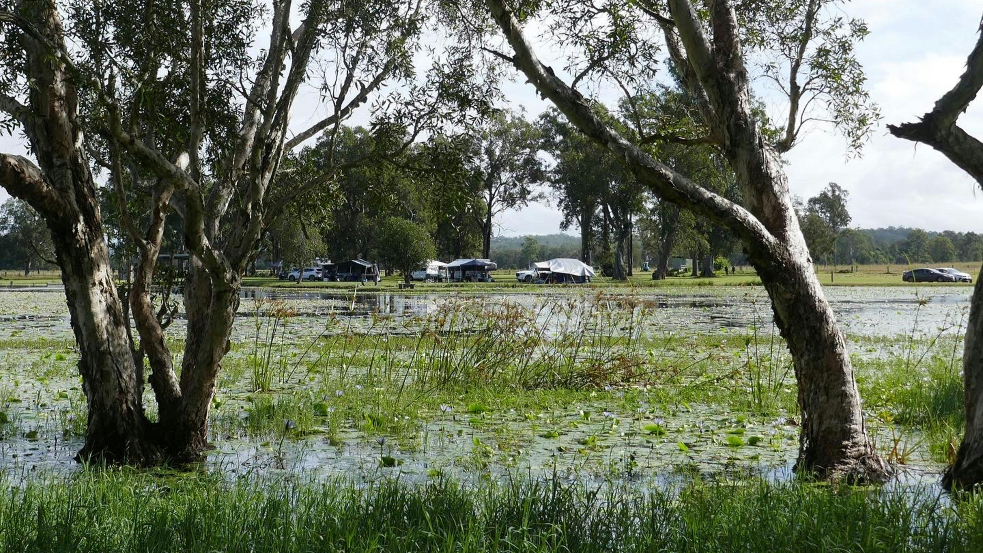 Sylva Lagoons Primitive Bush Camp