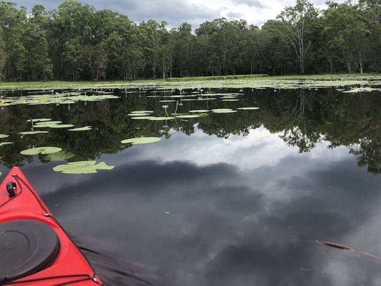 Kayaking around the lagoon