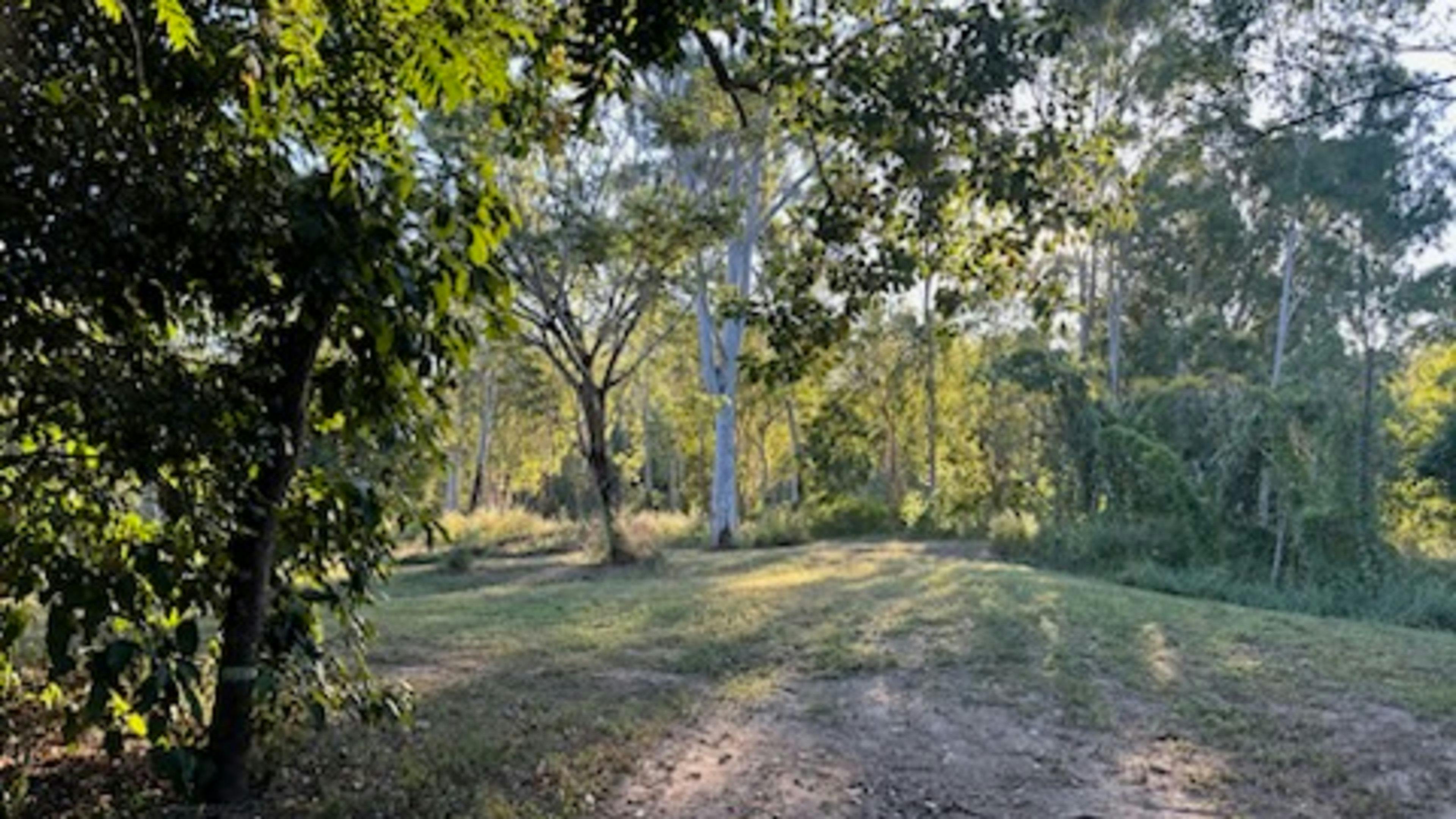 Crystal Brook Camping