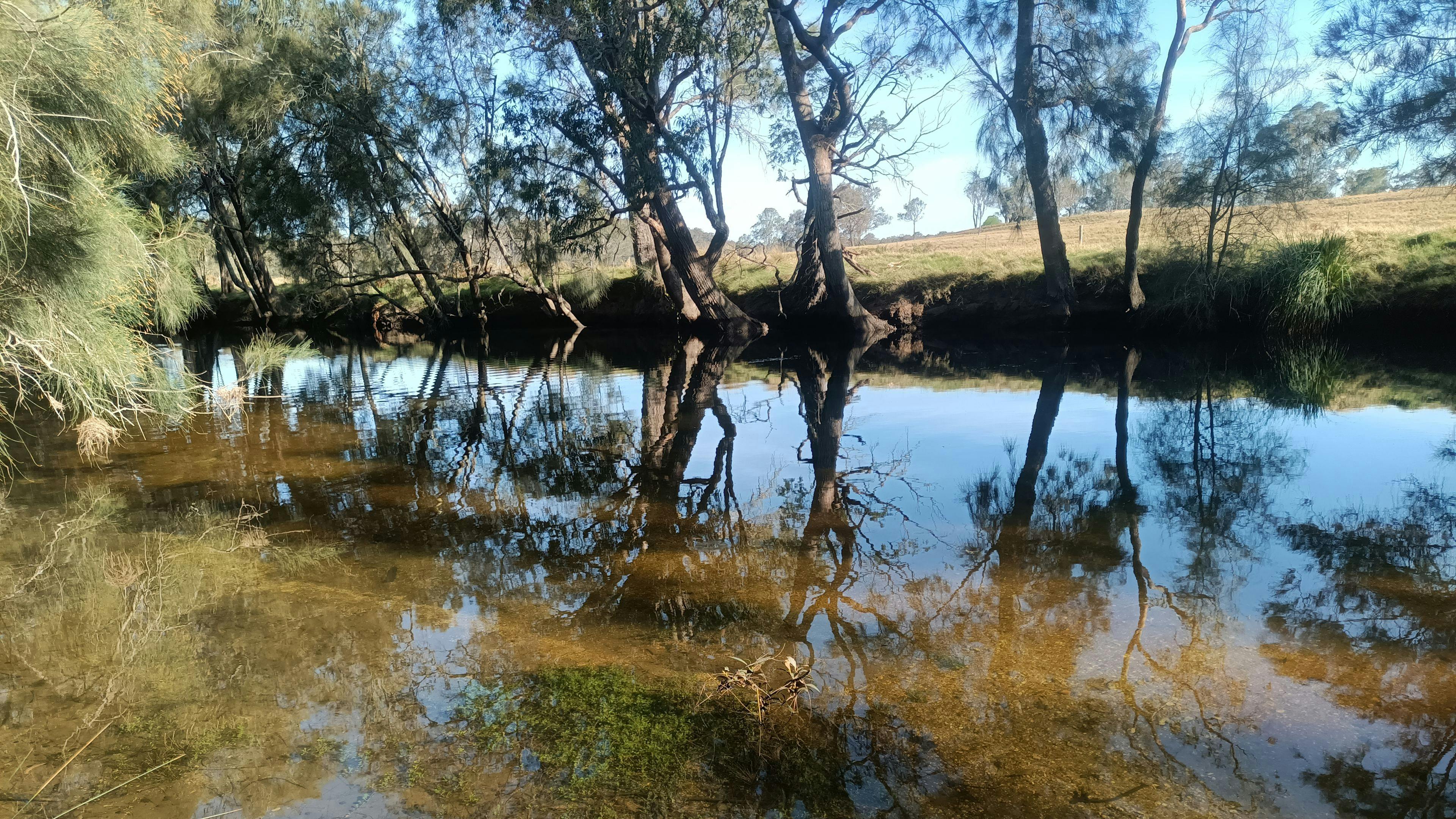 Mogo Creek Homestead