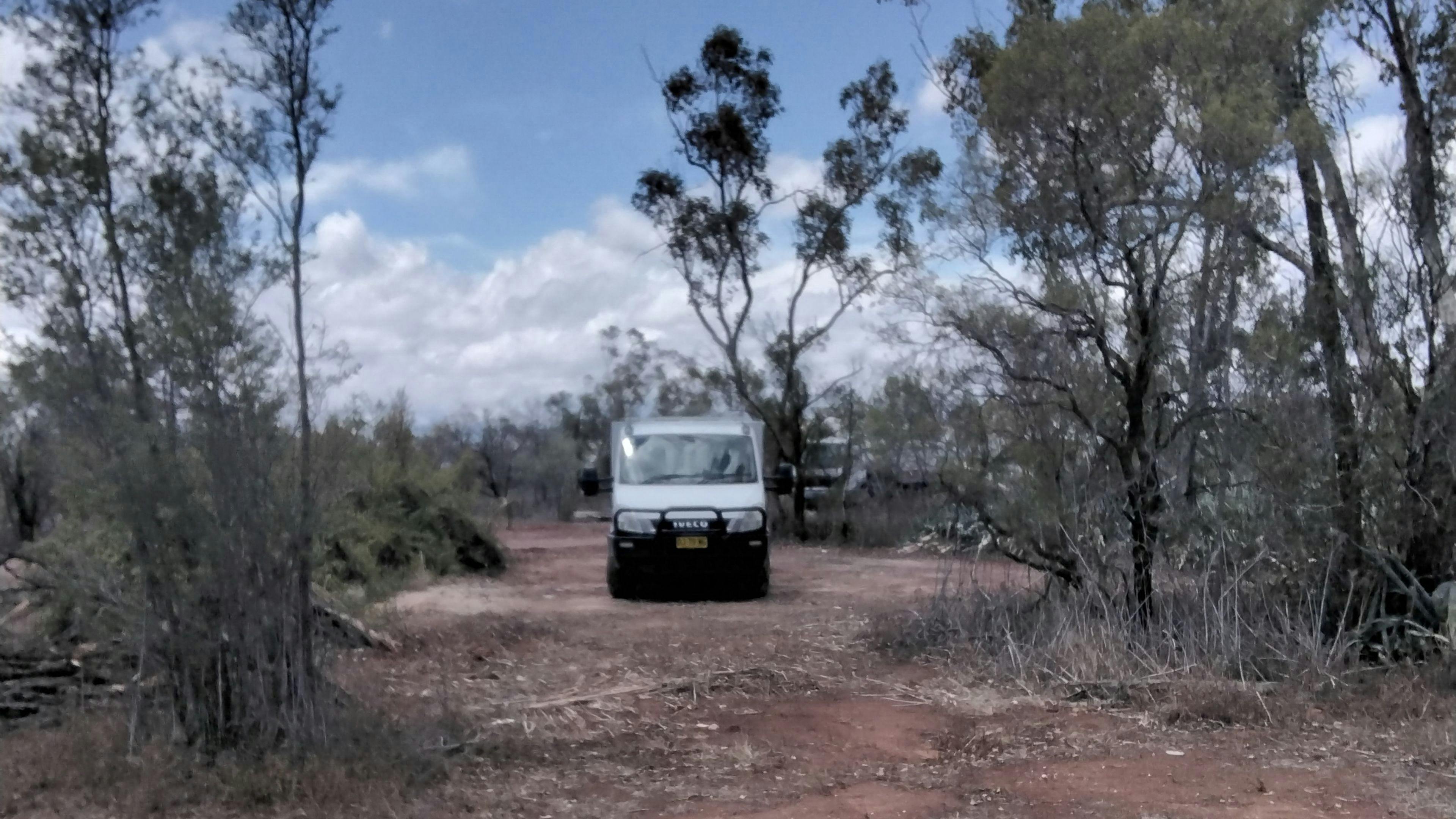 山脊上的老朋友