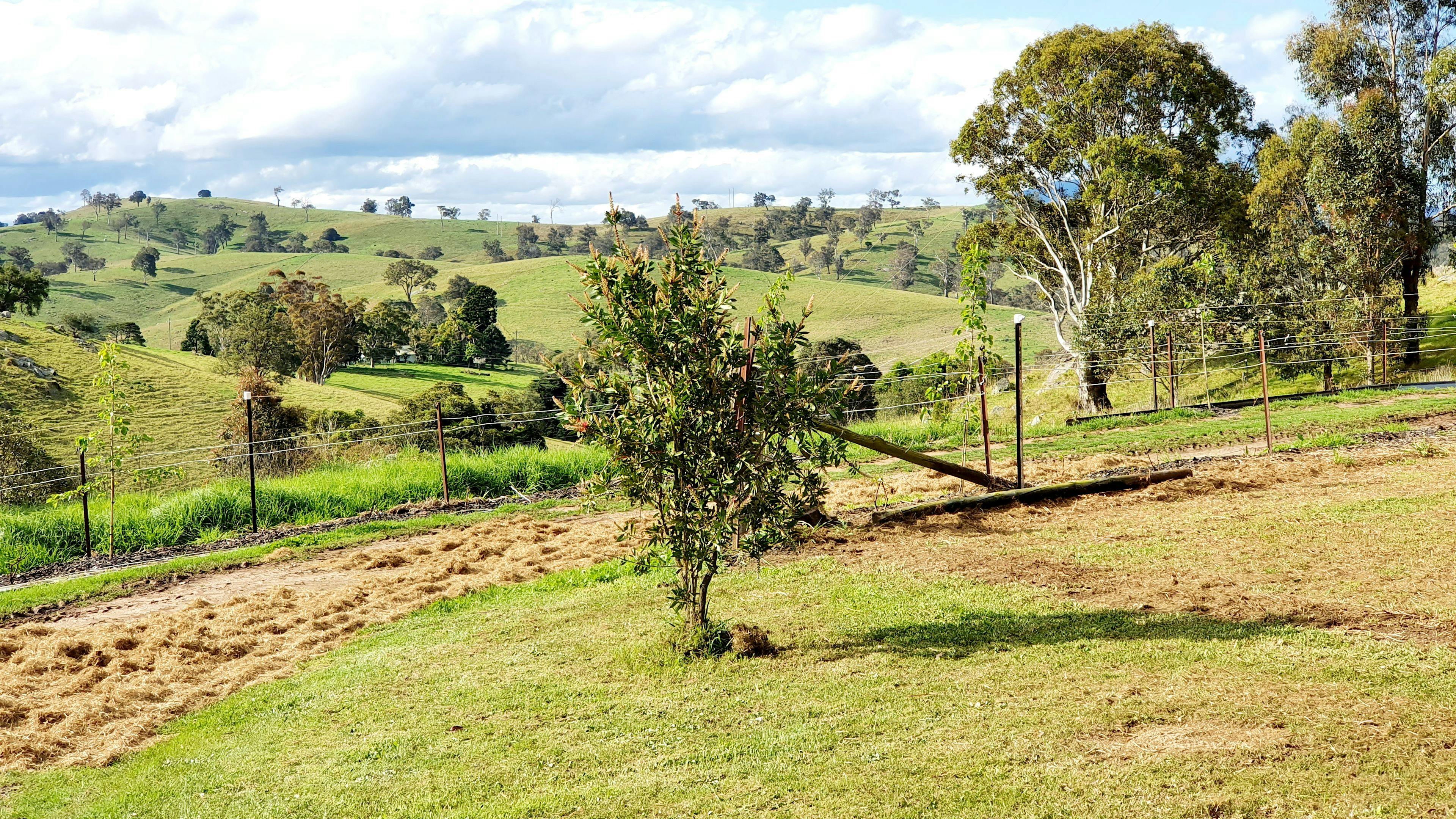Talisman Bushcamp