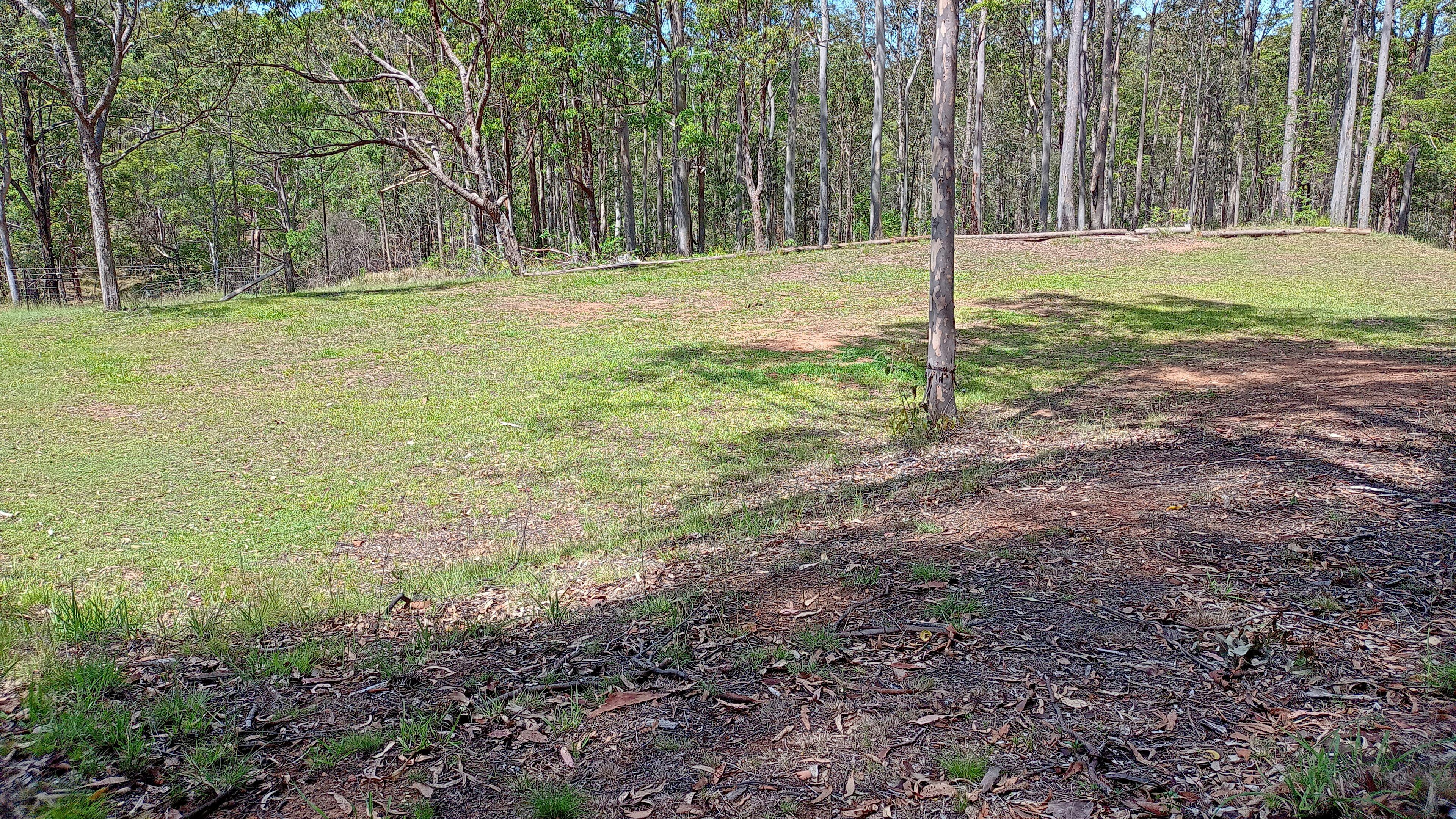 Tall Timbers Retreat