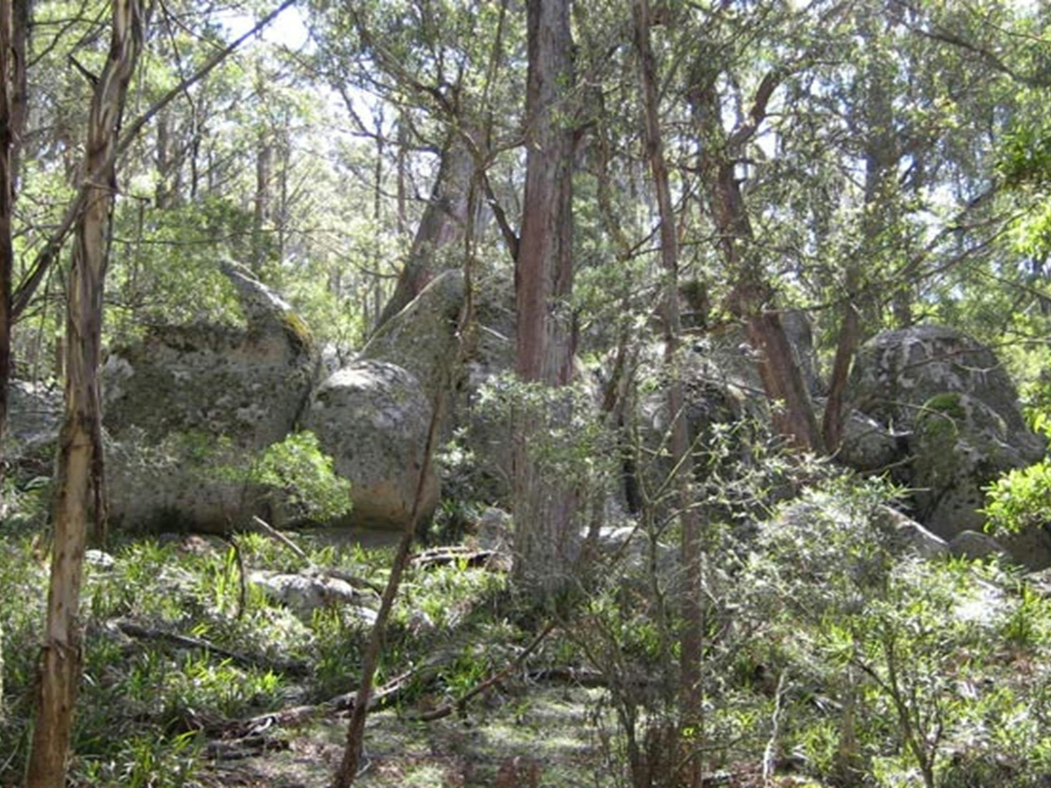 Tallaganda National Park