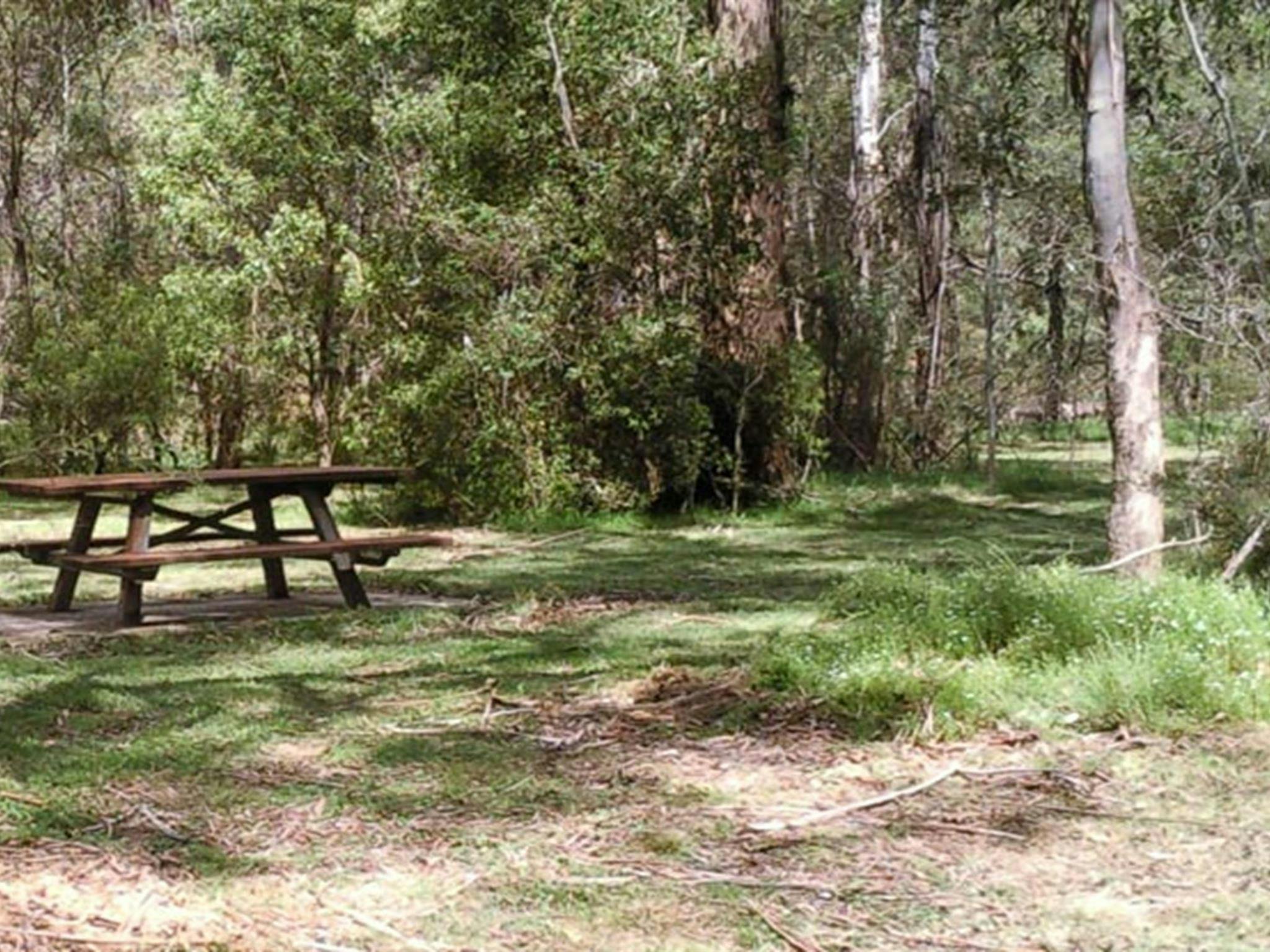 Mullon Creek campground, Tallaganda National Park. Photo: S Jackson/NSW Government