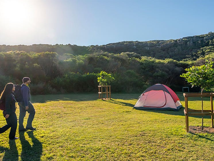 2 hikers walking to their tent at Tallow Beach camground, Bouddi National Park. Photo: John