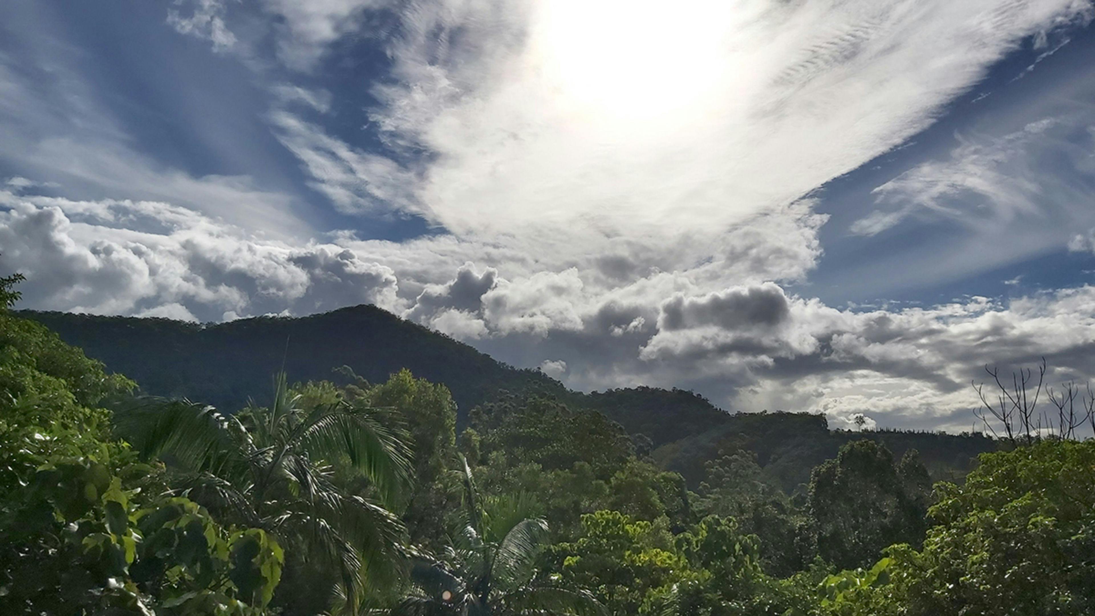 Talweg of Talley Valley on the Gold Coast