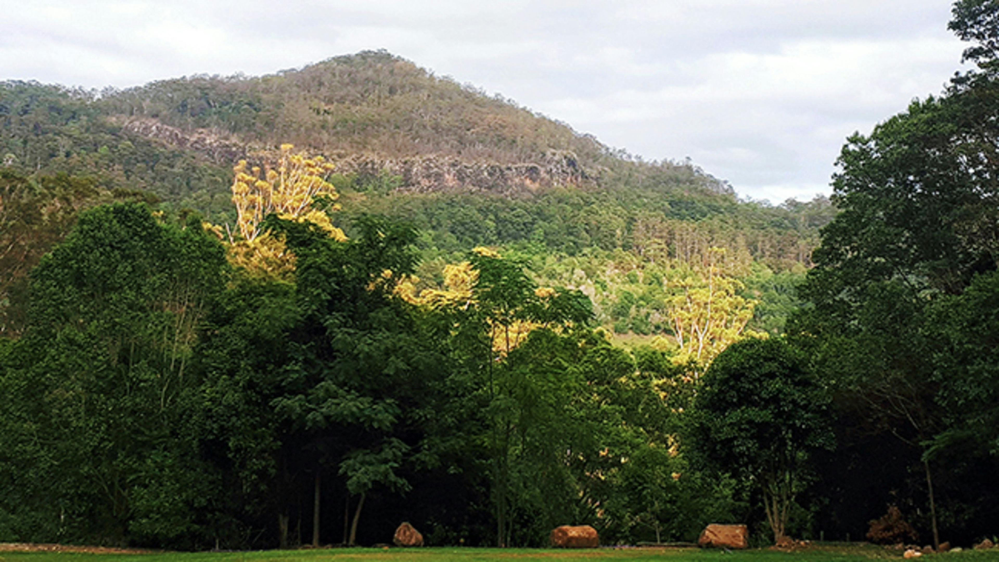 Talweg of Talley Valley on the Gold Coast