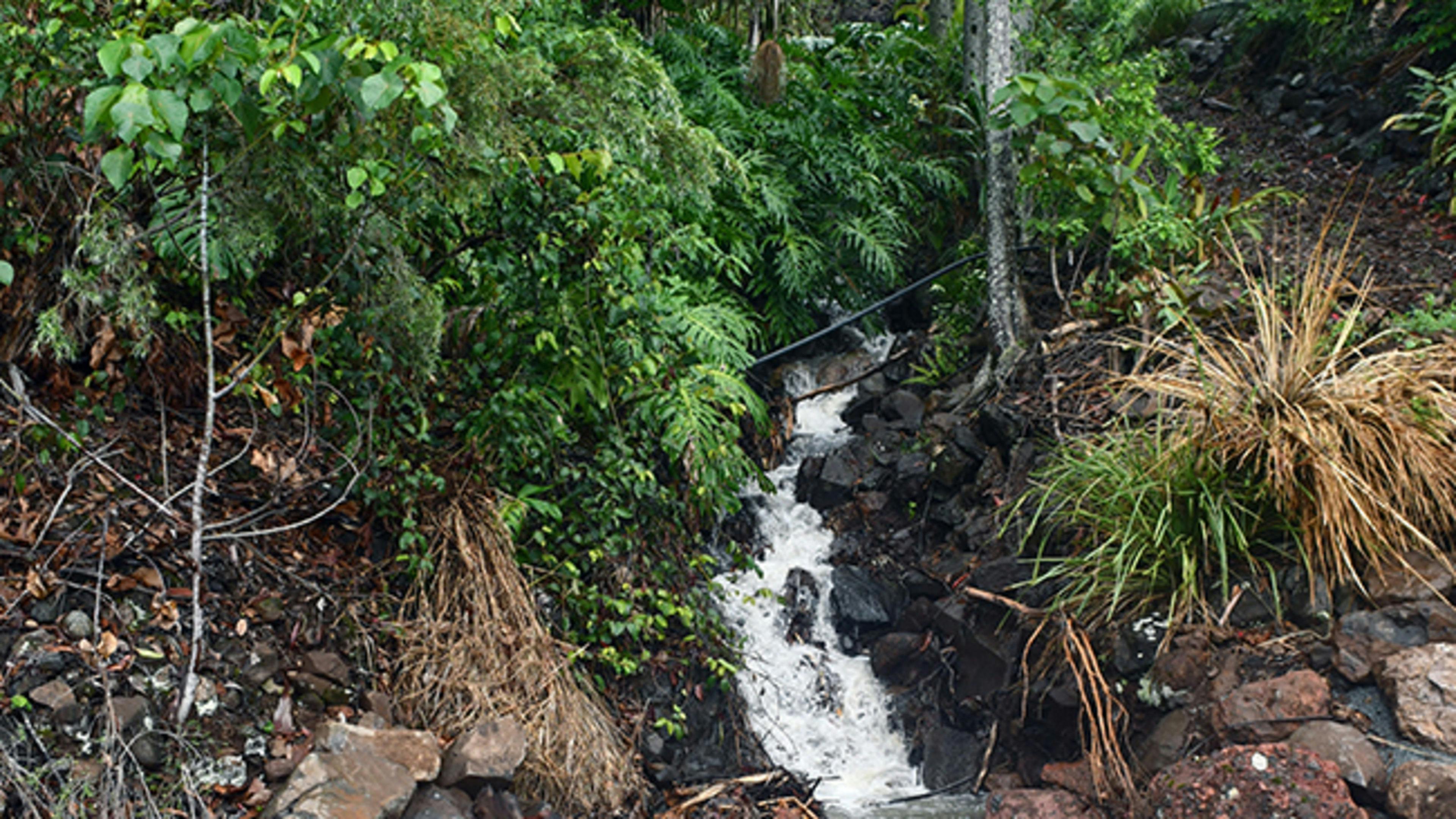 Talweg of Talley Valley on the Gold Coast
