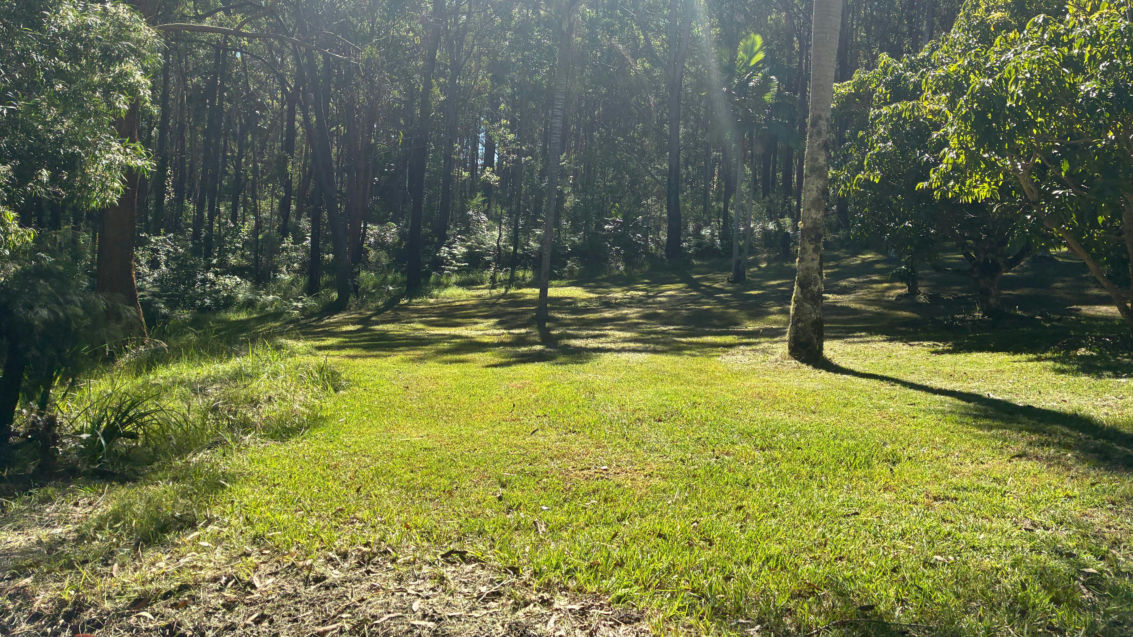 The Paddock