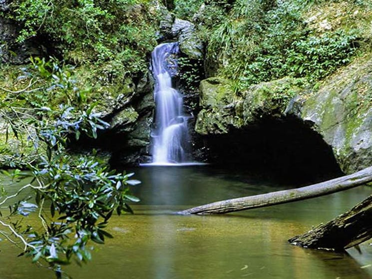Potoroo Falls, Tapin Tops National Park. Photo: S.Calvin/NSW Government