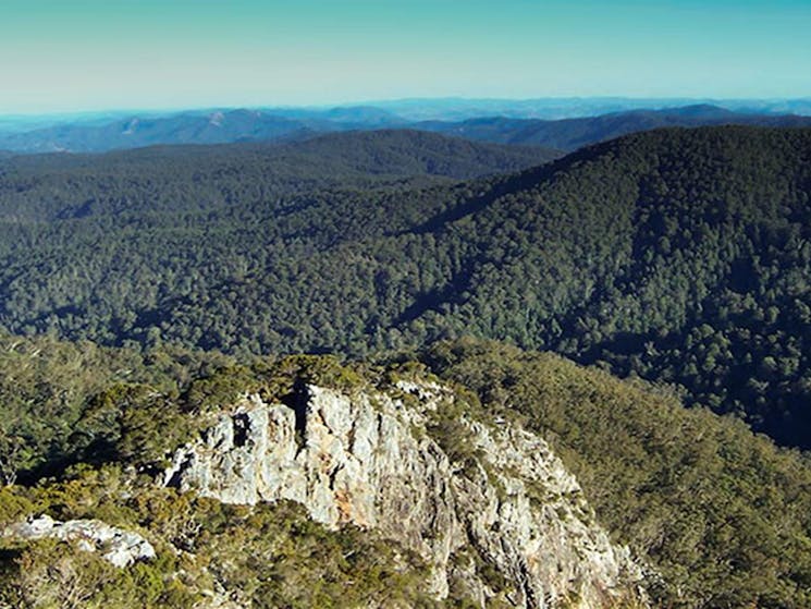 Rowleys Rock lookout, Tapin Tops National Park. Photo: Kevin Carter/NSW Government