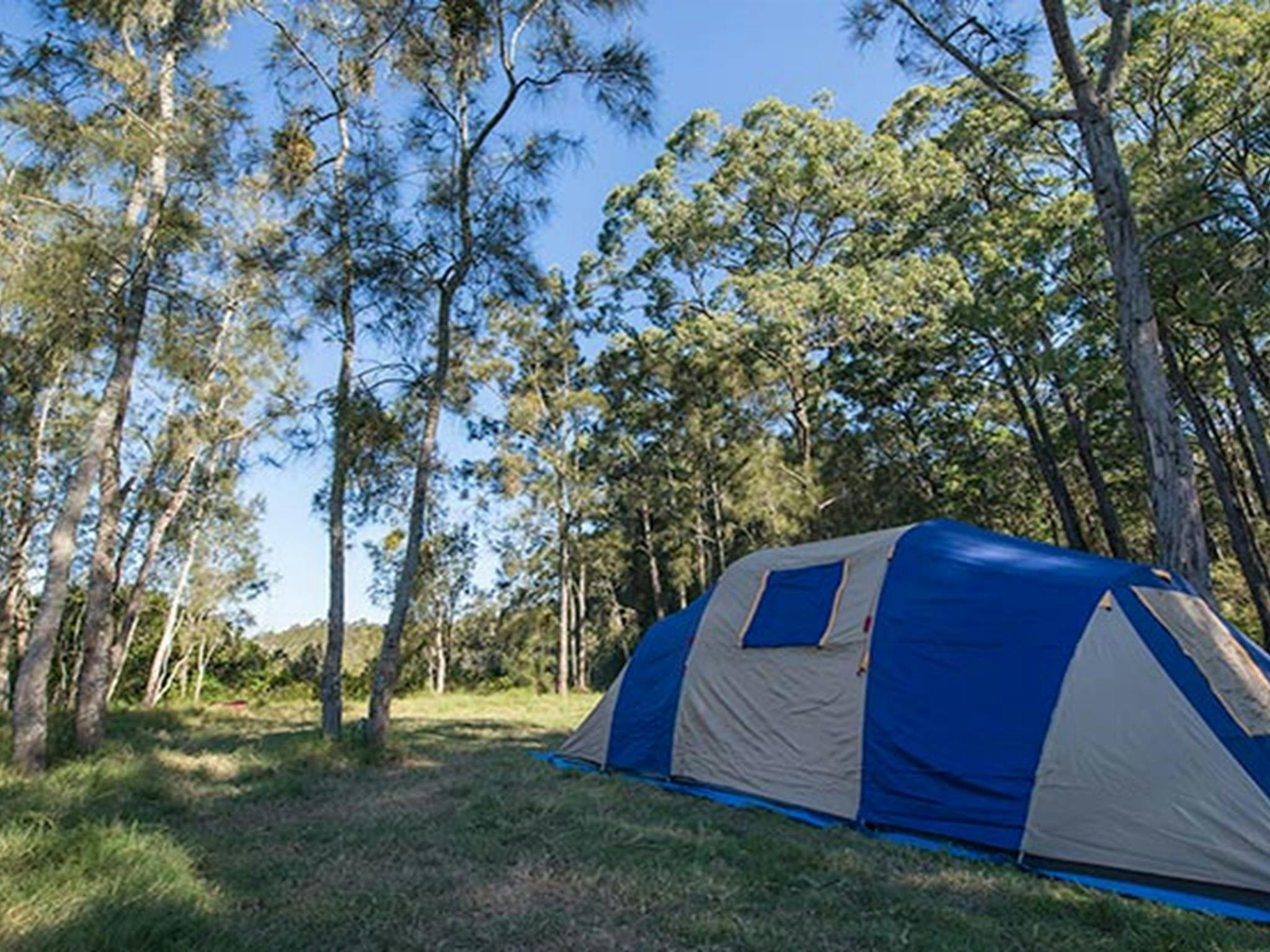 Tattersalls campground, Karuah National Park. Photo: John Spencer/NSW Government