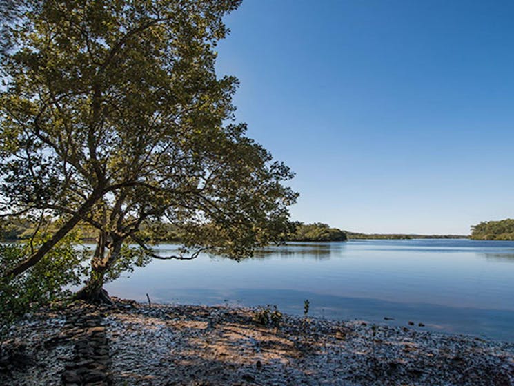 Tattersalls campground, Karuah National Reserve. Photo: John Spencer/NSW Government