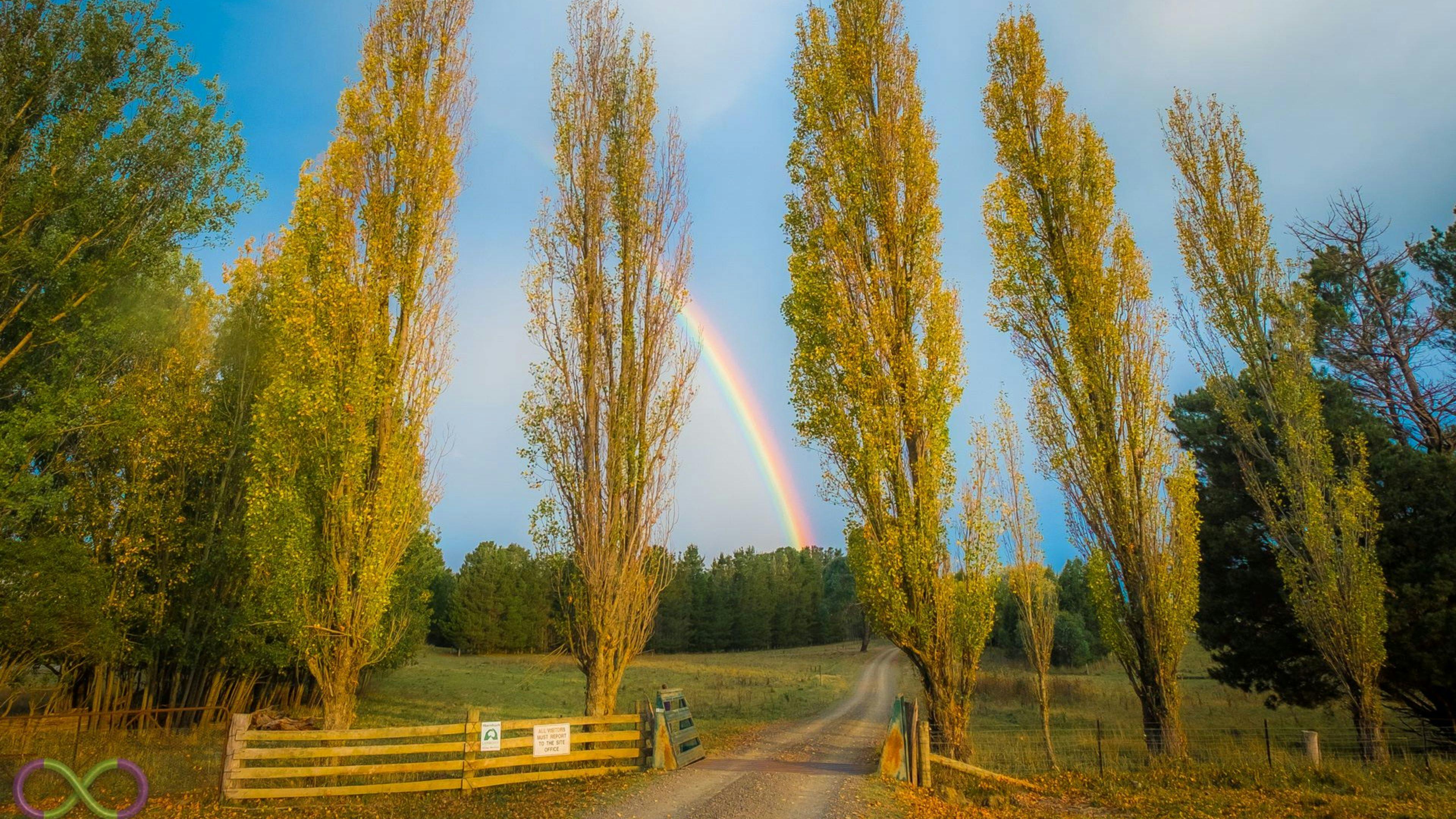 泰勒斯潤農場露營地