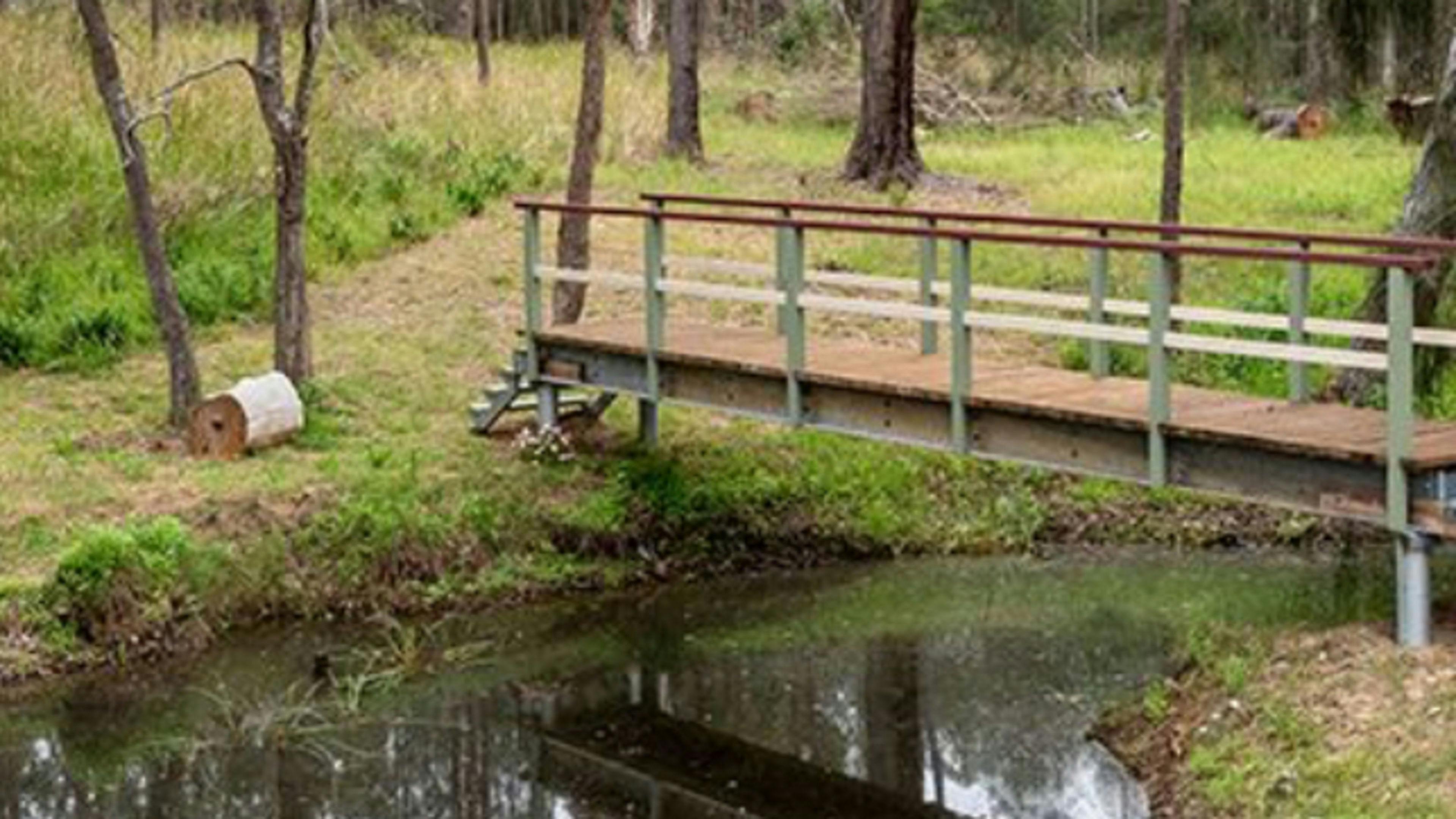 Trinity Vineyard - Hunter Valley