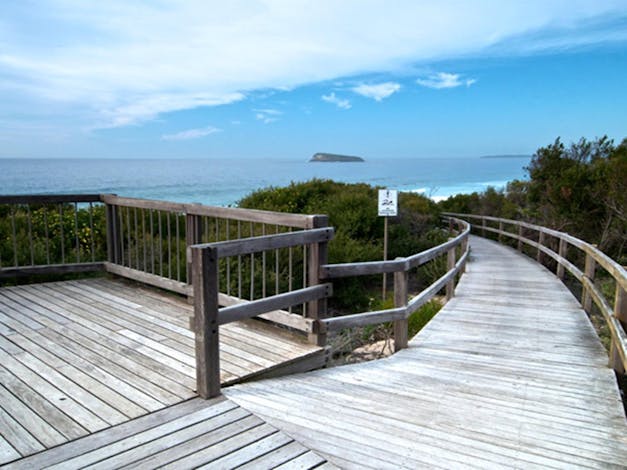 Tea Tree picnic area and lookout