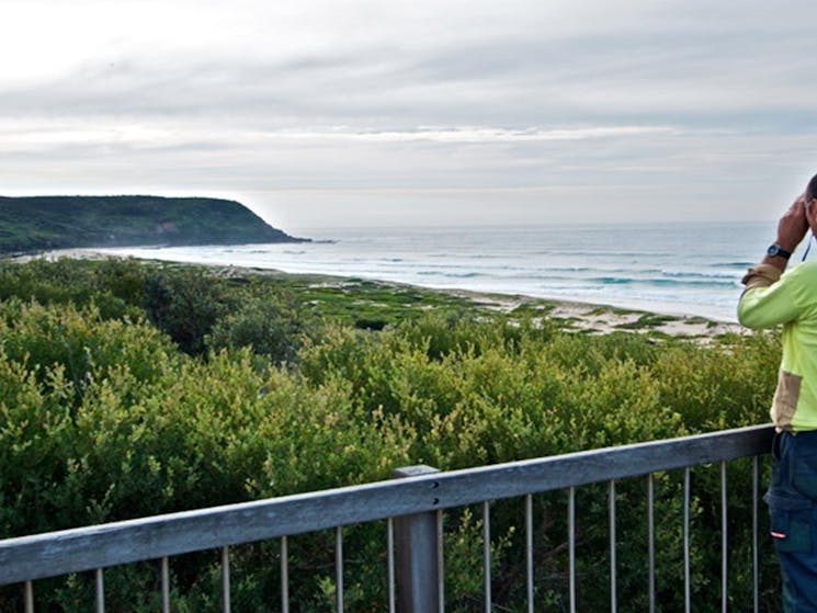 Ranger looking out from Tea Tree lookout. Photo: John Spencer