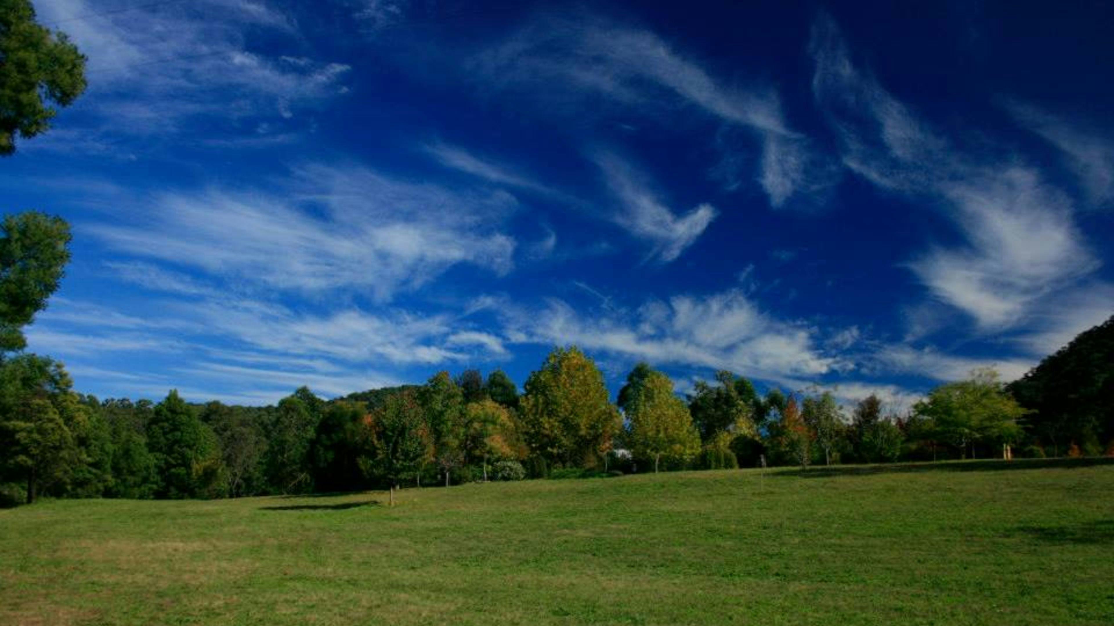 There are 12 acres of grounds on which you can select a spot to pitch your tent. 