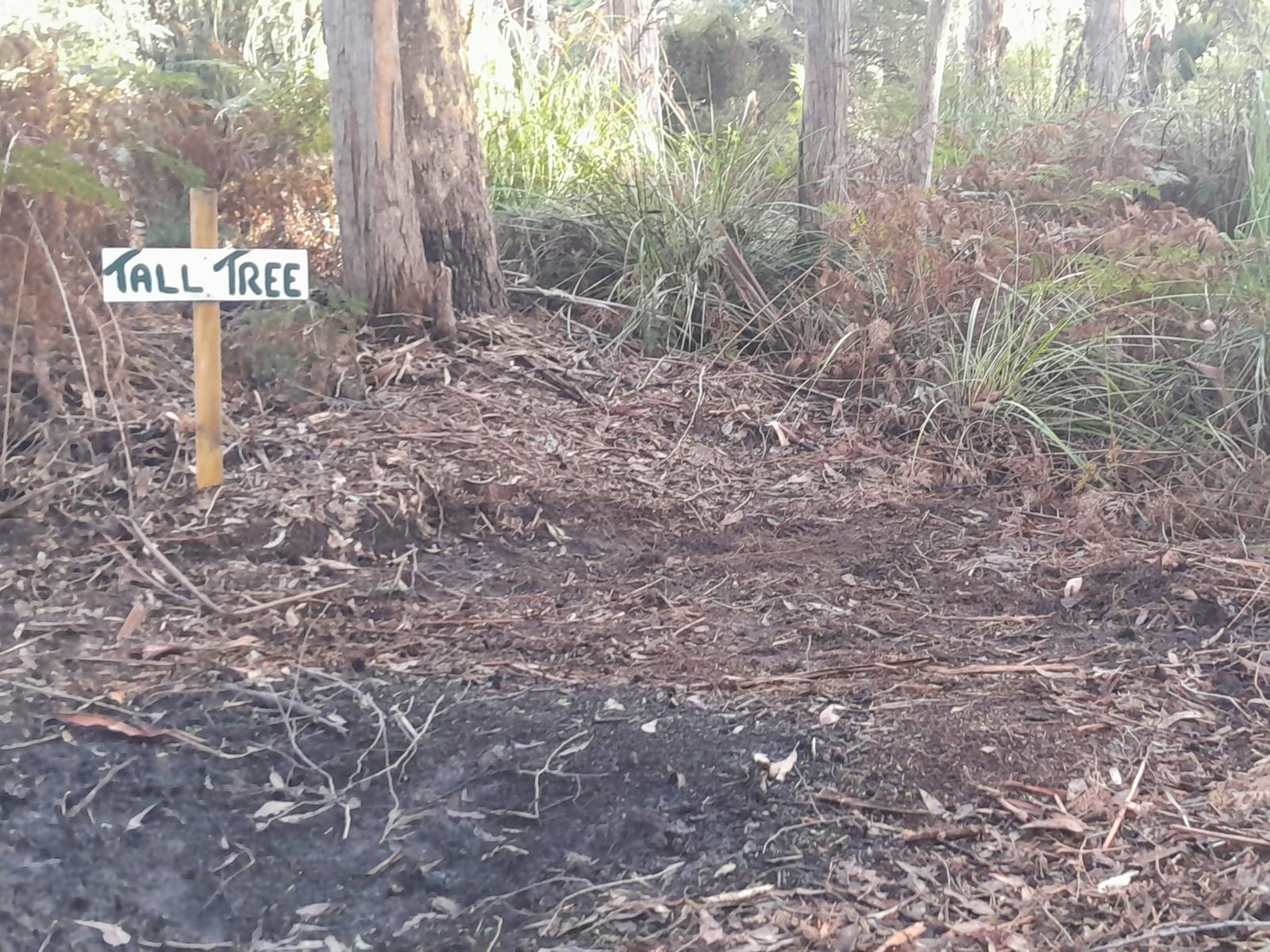 The camp site