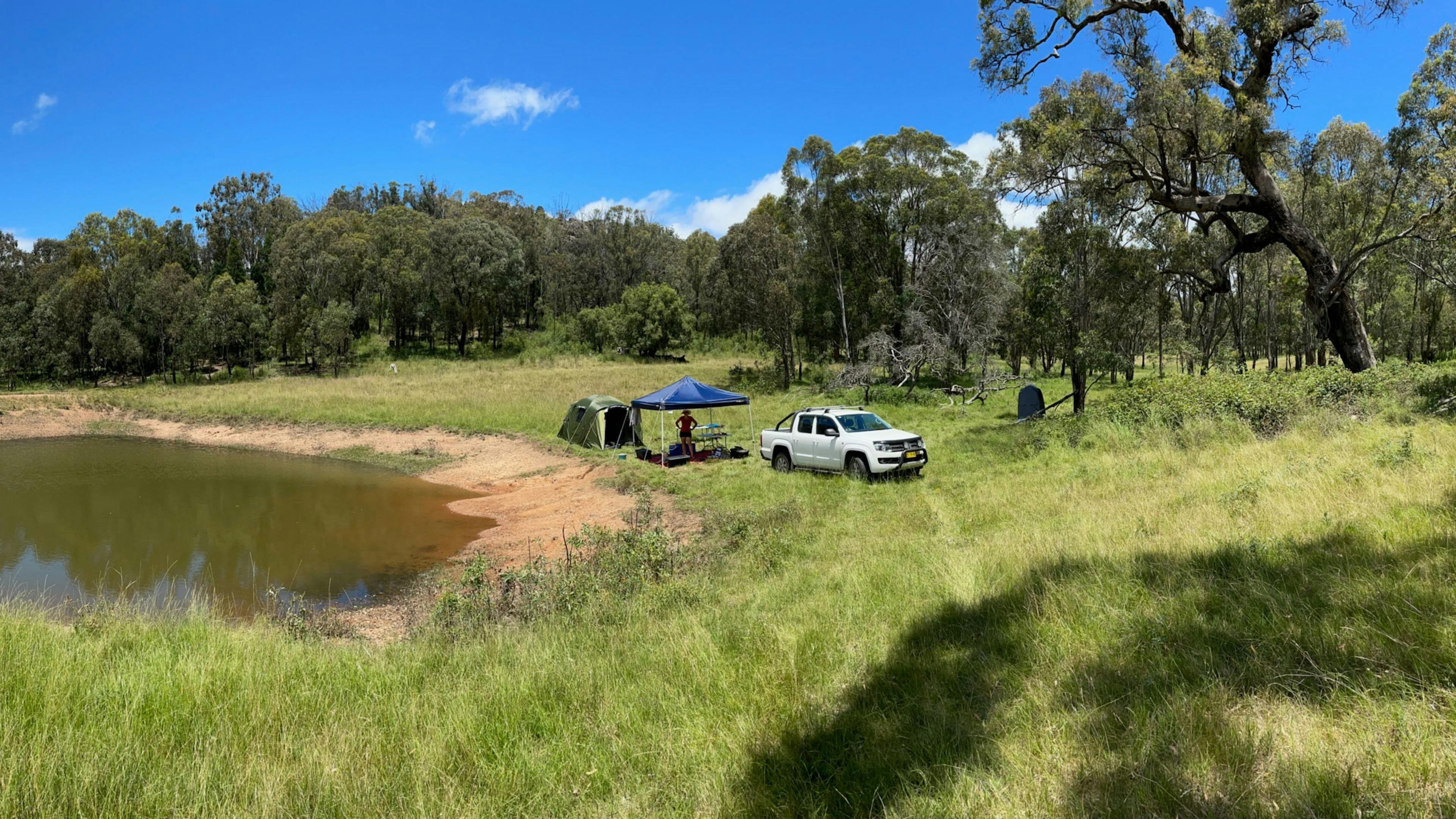 템플 코트 무루룬디