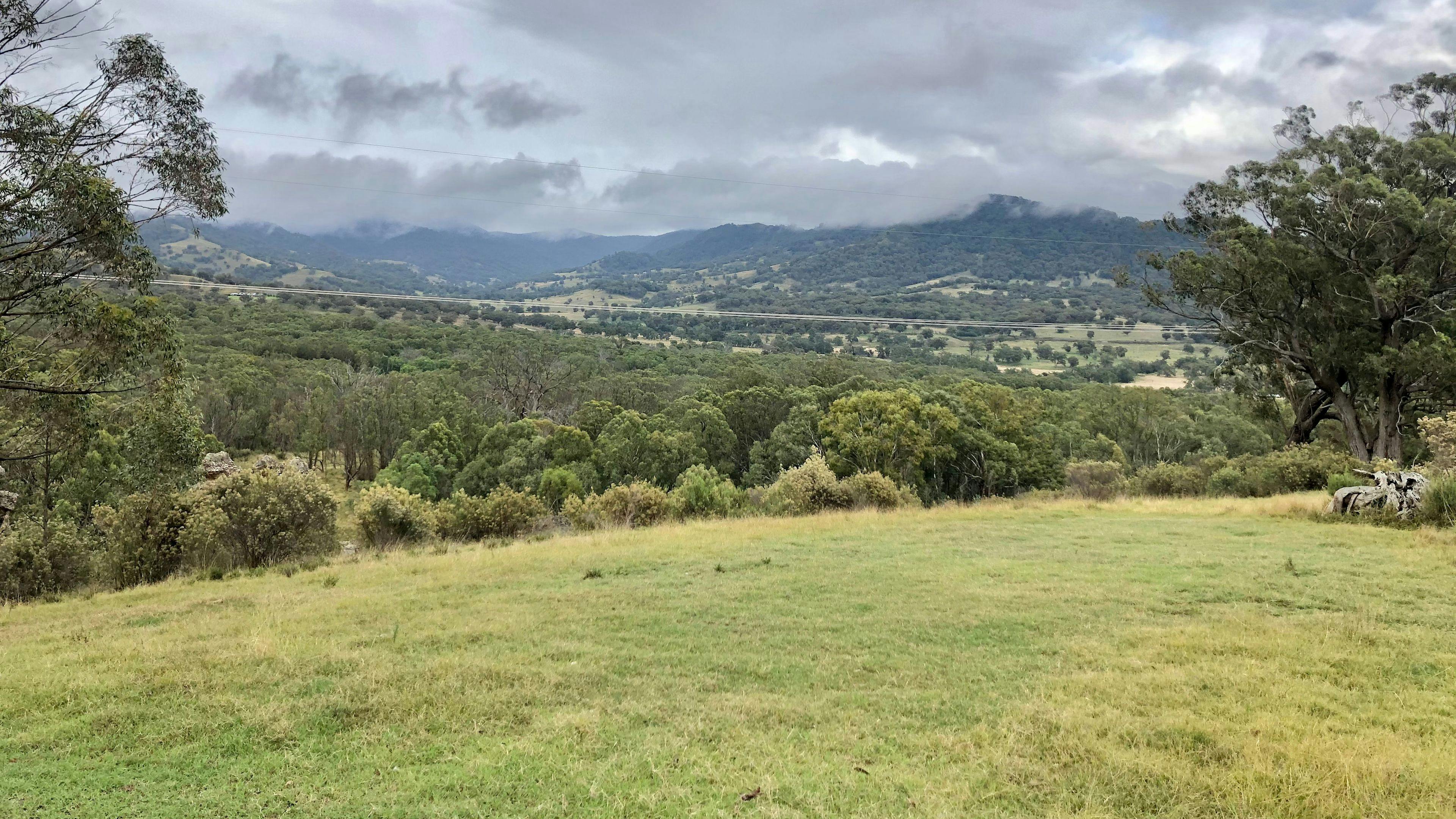 템플 코트 무루룬디