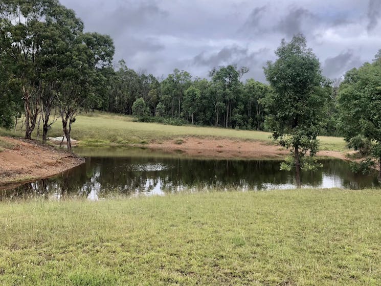 Temple Court, Murrurundi