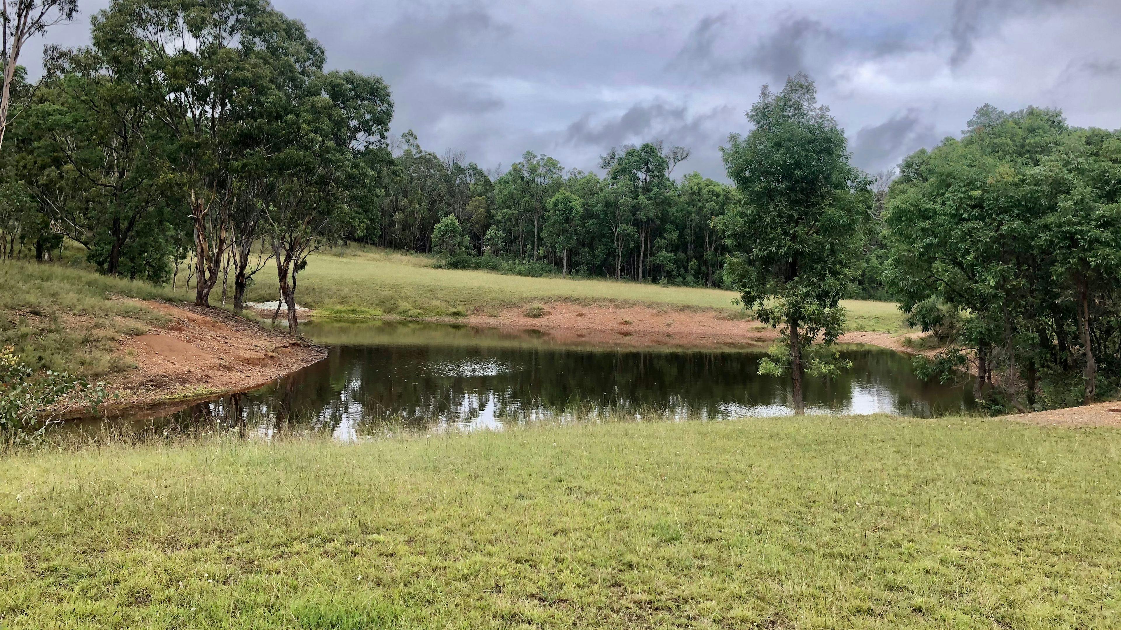 템플 코트 무루룬디