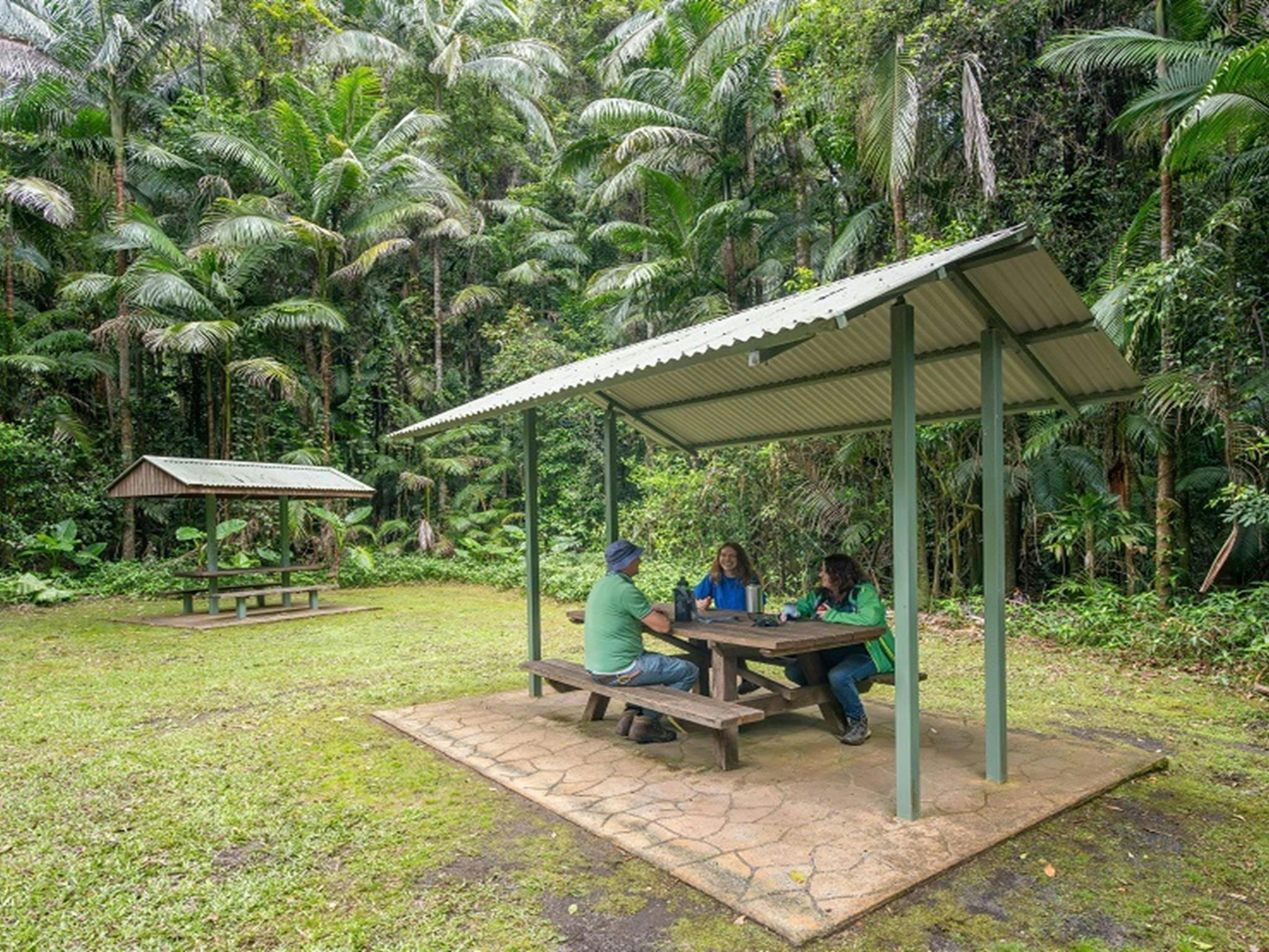 Picnickers enjoy lunch together at one of the sheltered picnic tables at Terania Creek picnic area,