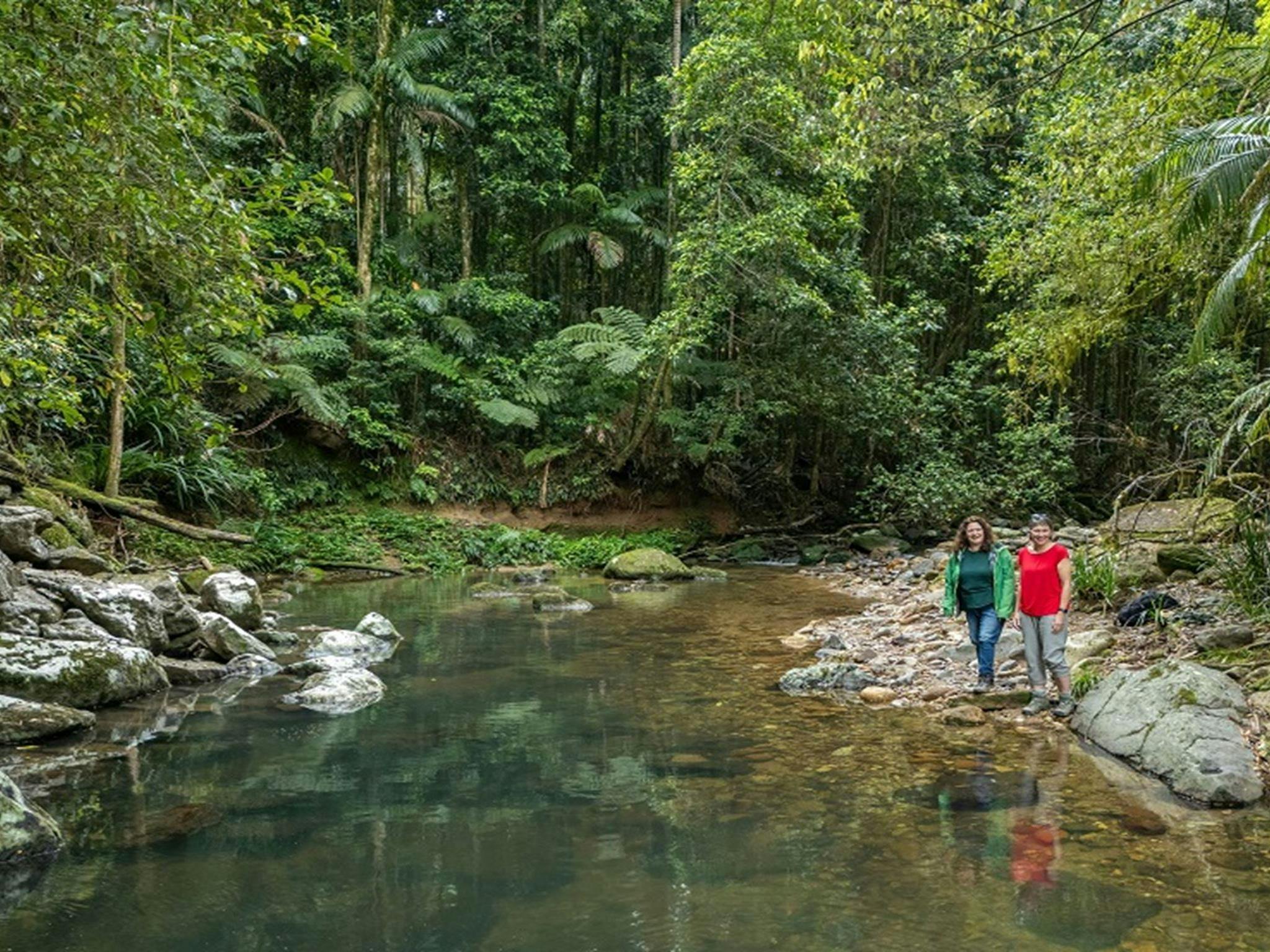 Two women admire the serenity of crystal-clear Terania Creek, Terania Creek picnic area, Nightcap