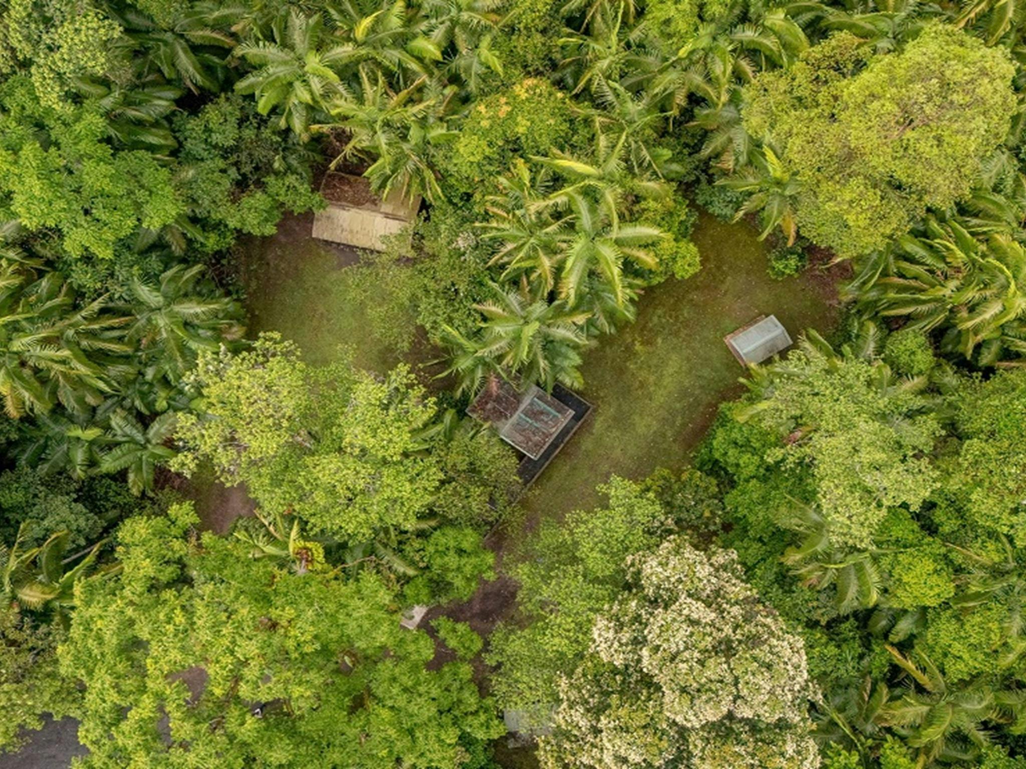 Aerial view of Terania Creek picnic area, with much of the area protected by the vibrant rainforest