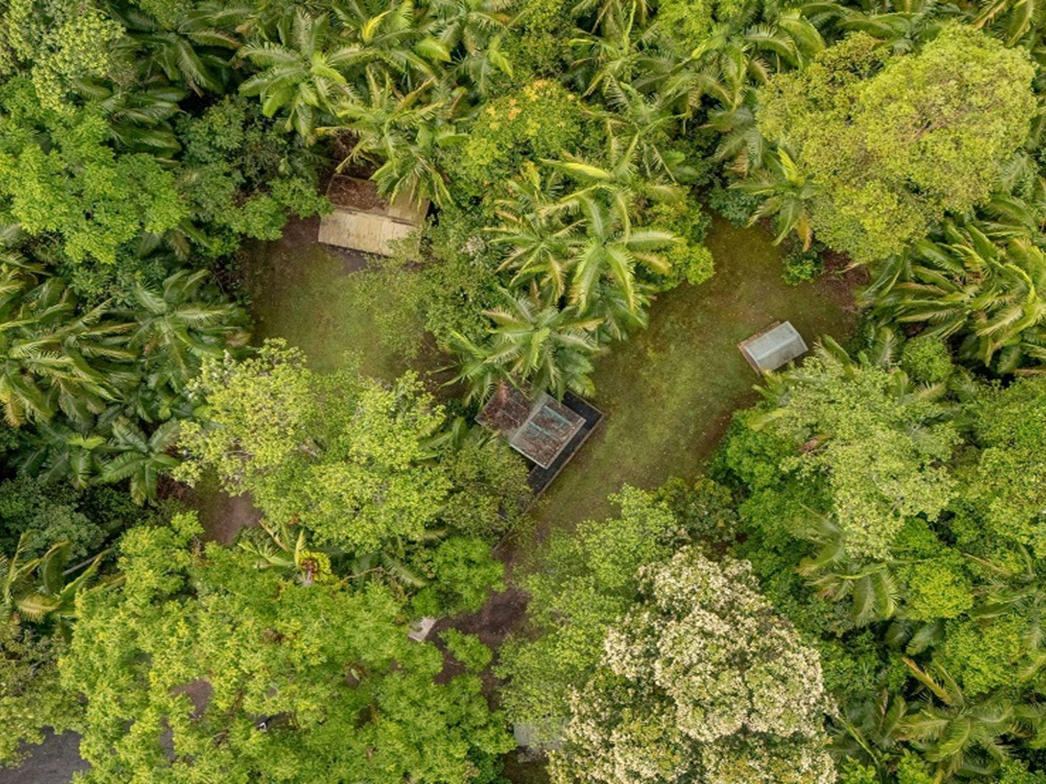 Aerial view of Terania Creek picnic area, with much of the area protected by the vibrant rainforest