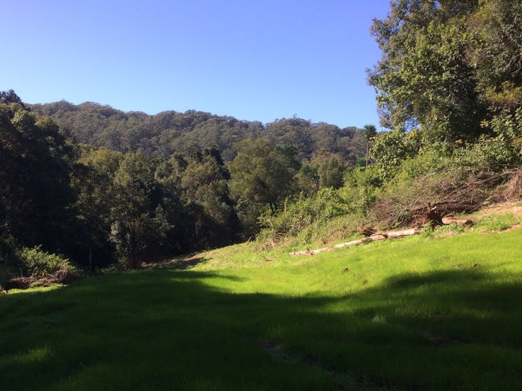 Looking east from the campsite towards the Whian Whian flora reserve 