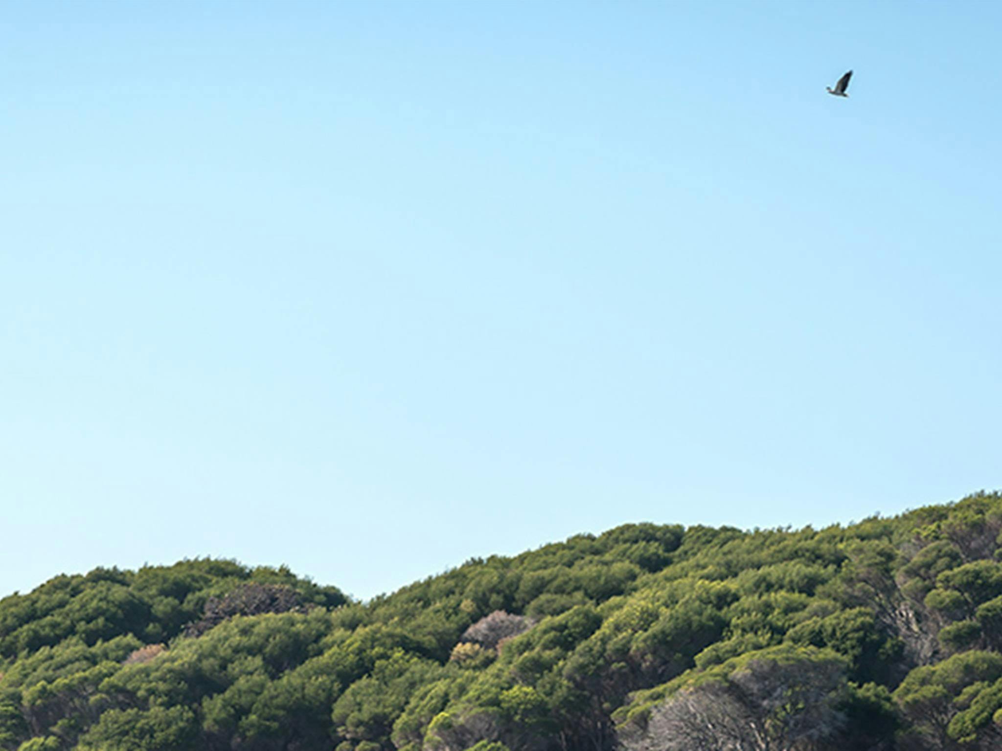 Terrace Beach and Lennards Island, Beowa National Park. Photo: John Spencer