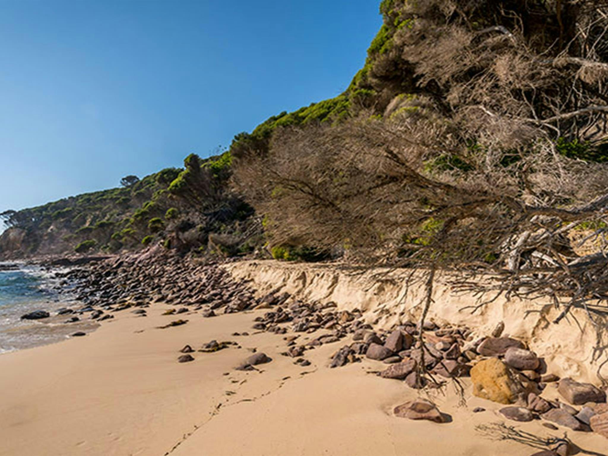 Terrace Beach and Lennards Island, Beowa National Park. Photo: John Spencer &copy; OEH