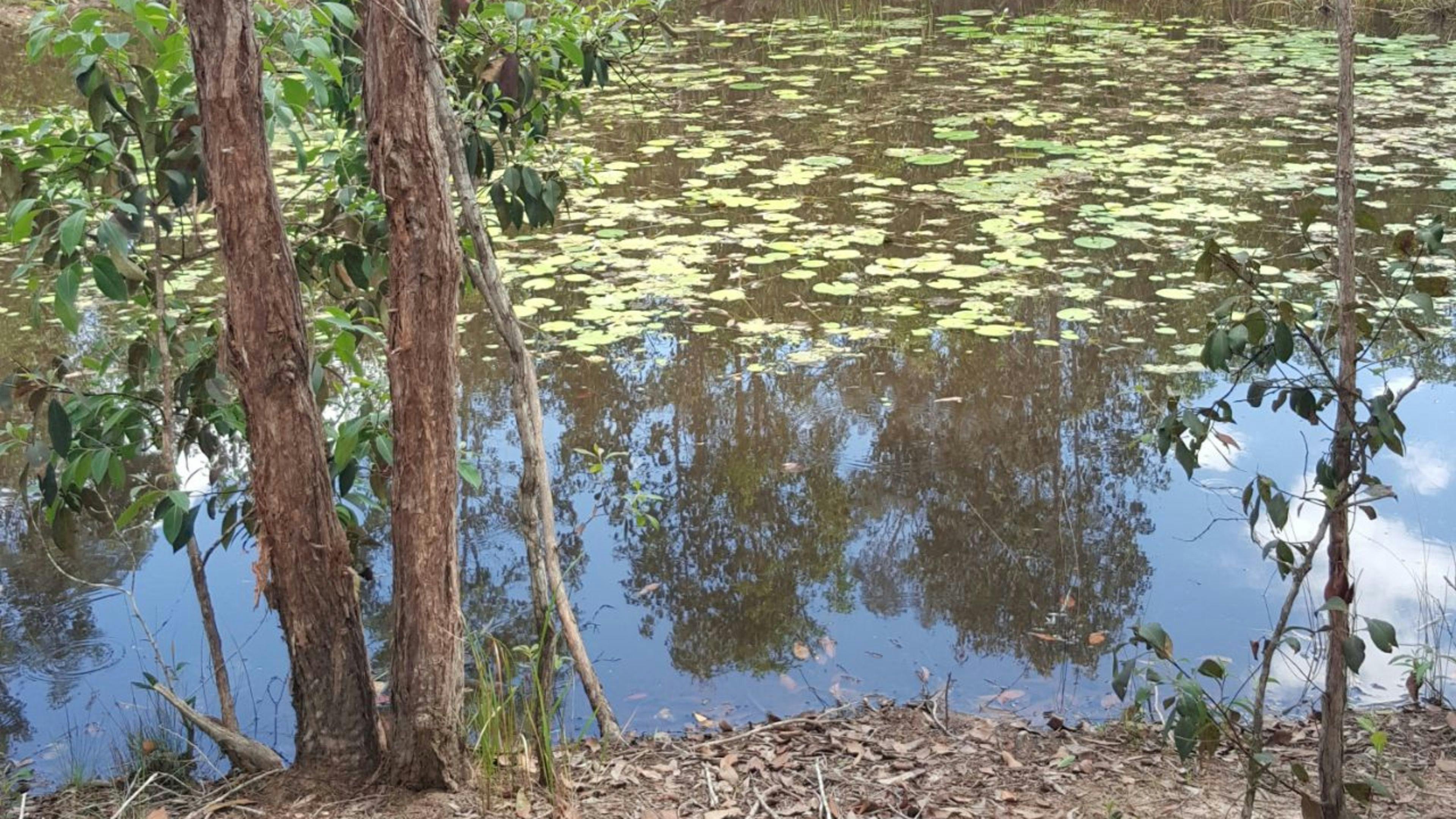 TerraLyra Sanctuary Retreat