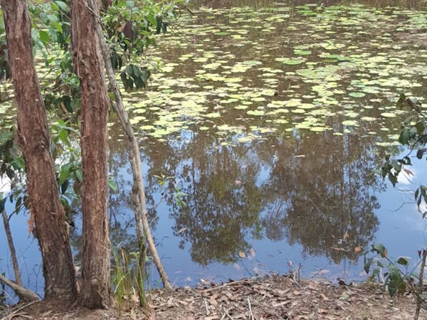 Baby Dam - Peace and contemplation