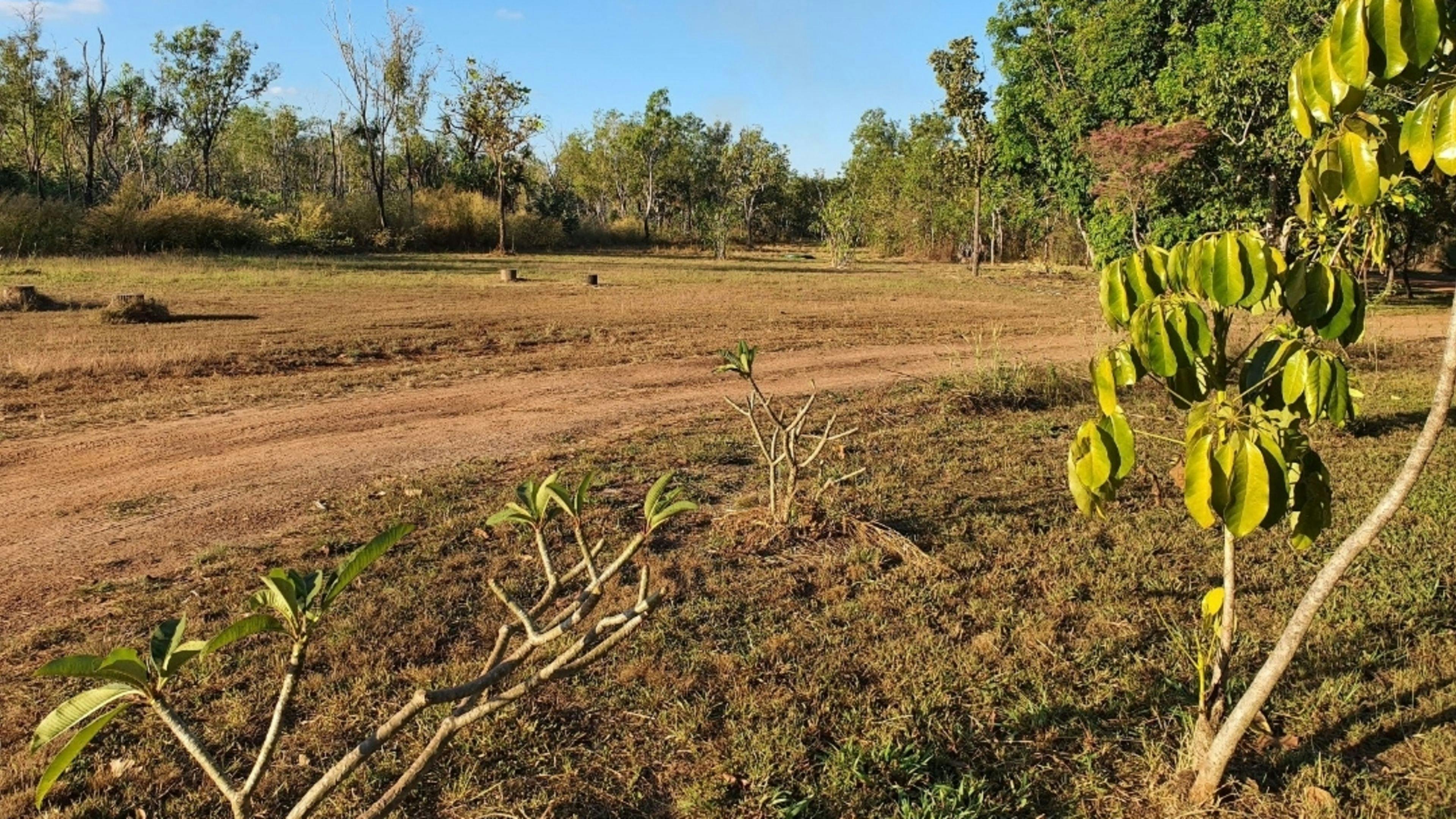 Territory Rural Backyard